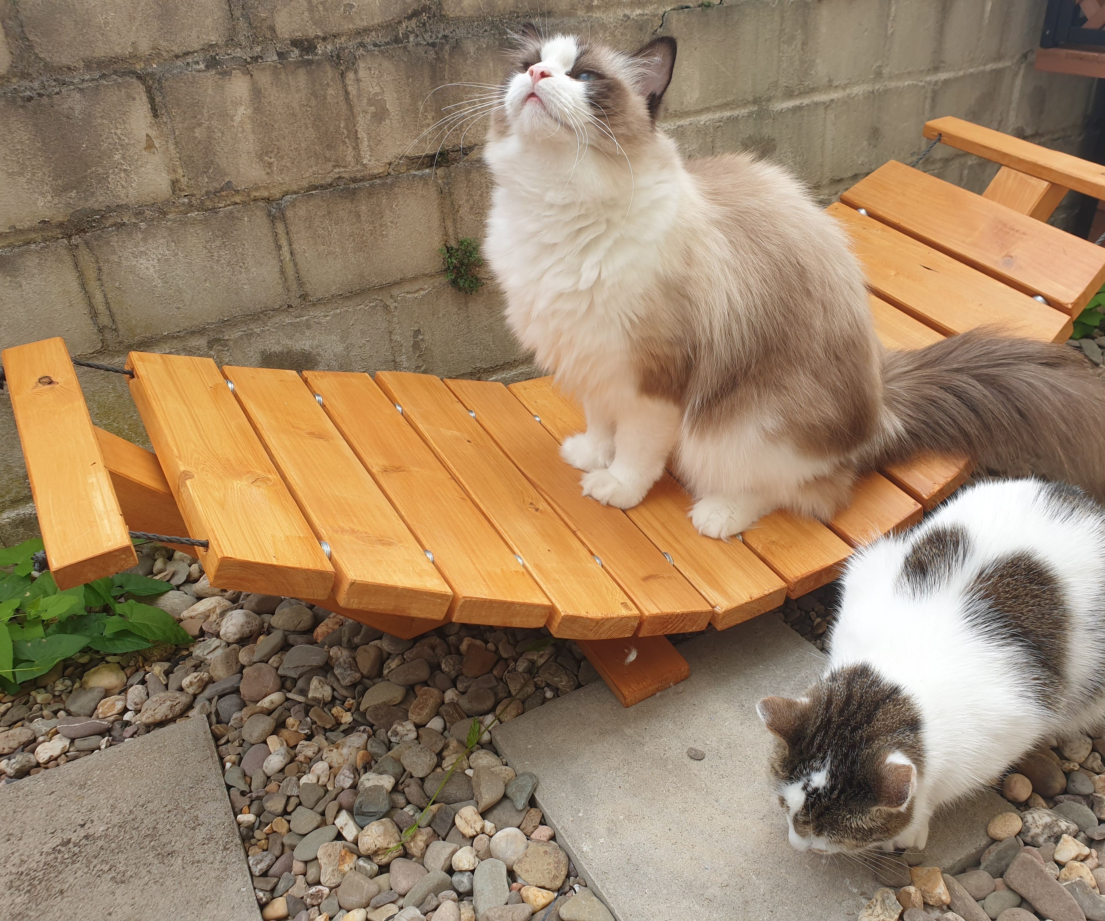 How to Build a Cat Hammock