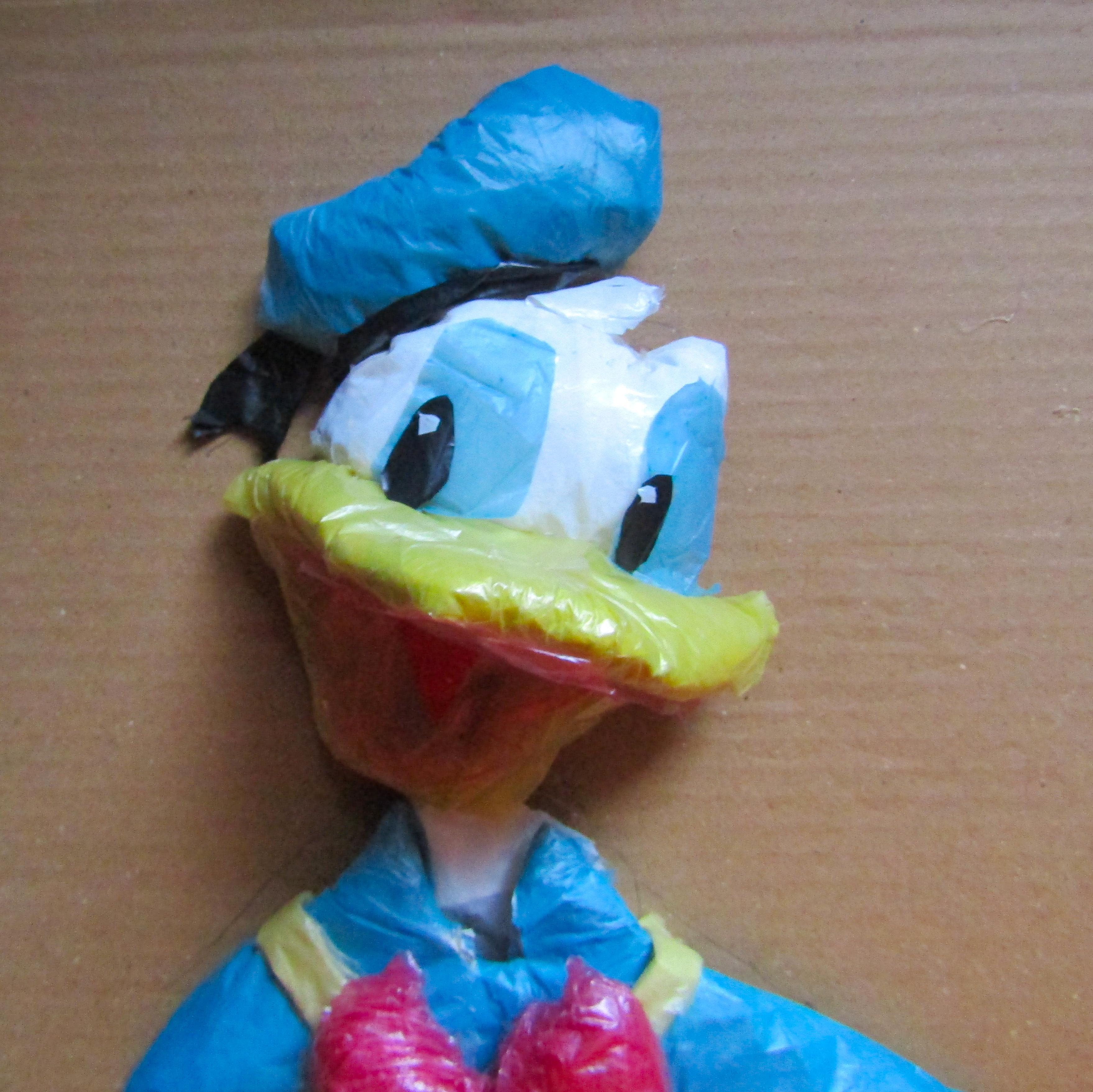 Donald Duck With Old Plastic Bags and Newspapers 