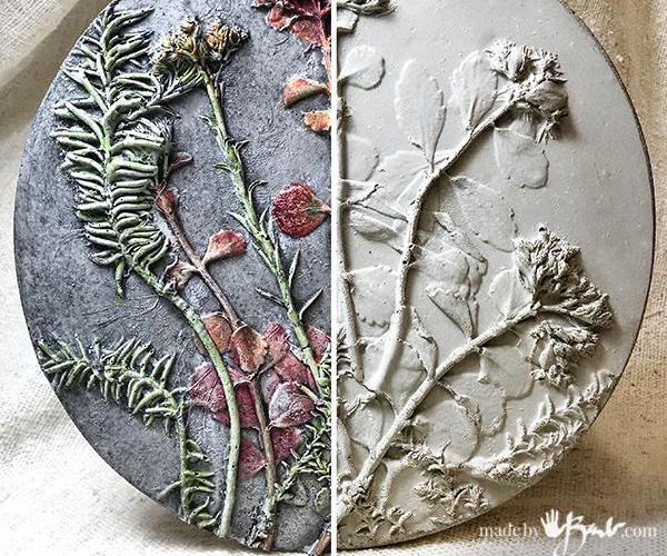 Concrete Relief-Cast Botanical Specimens 