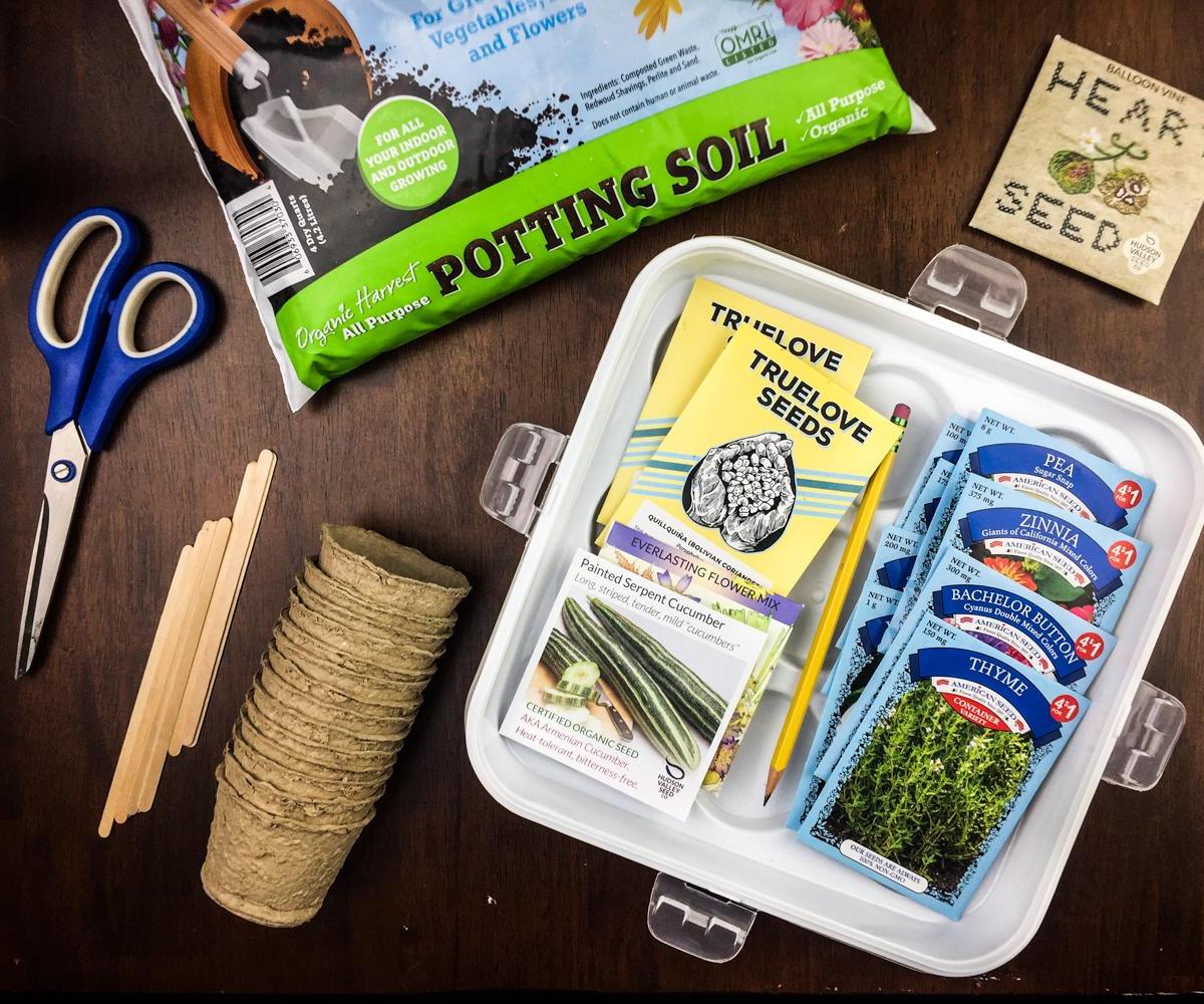 Dollar Store Seed Starting 