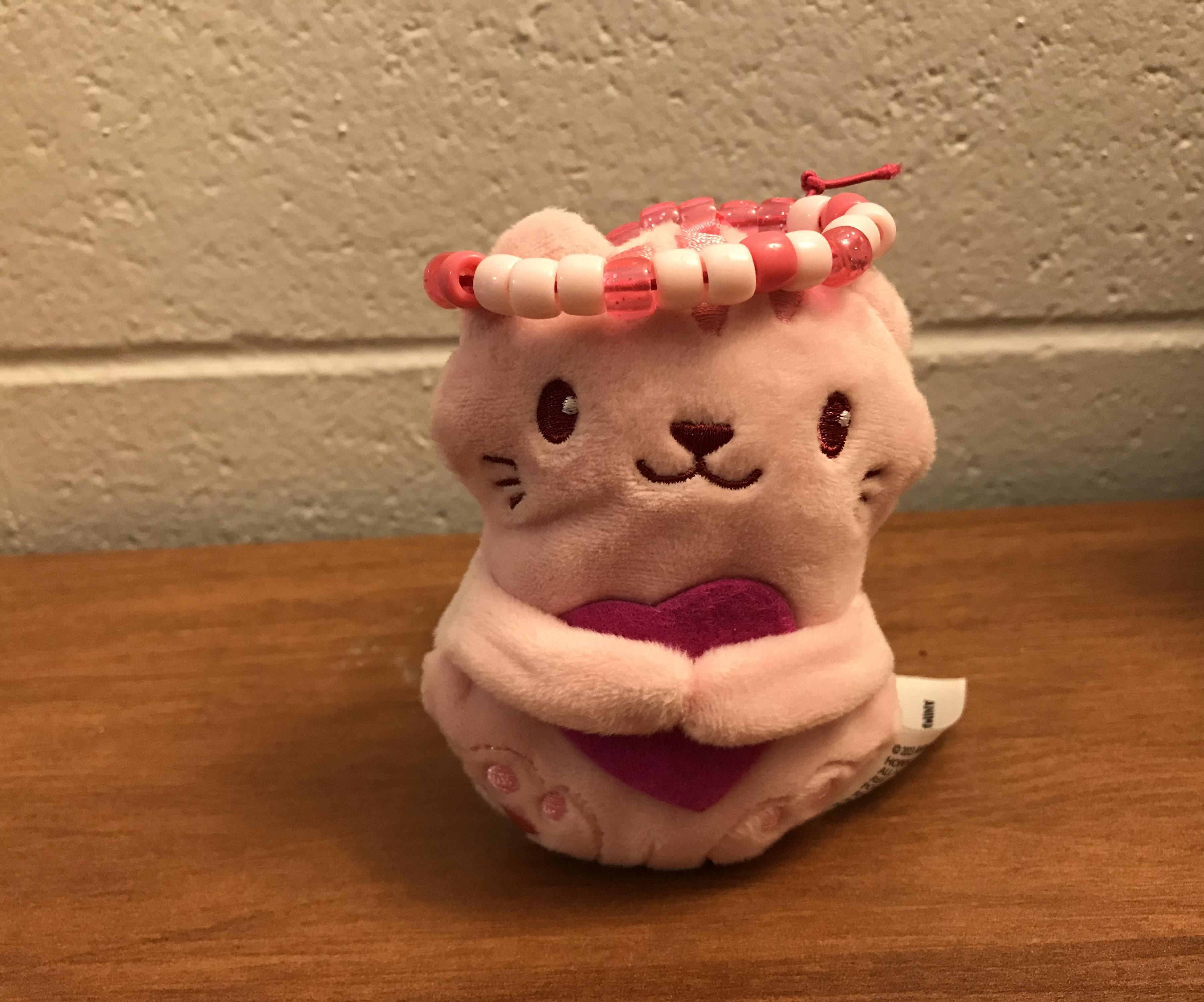 BFF Morse Code Friendship Bracelet - New & Improved! (cat Not Included)