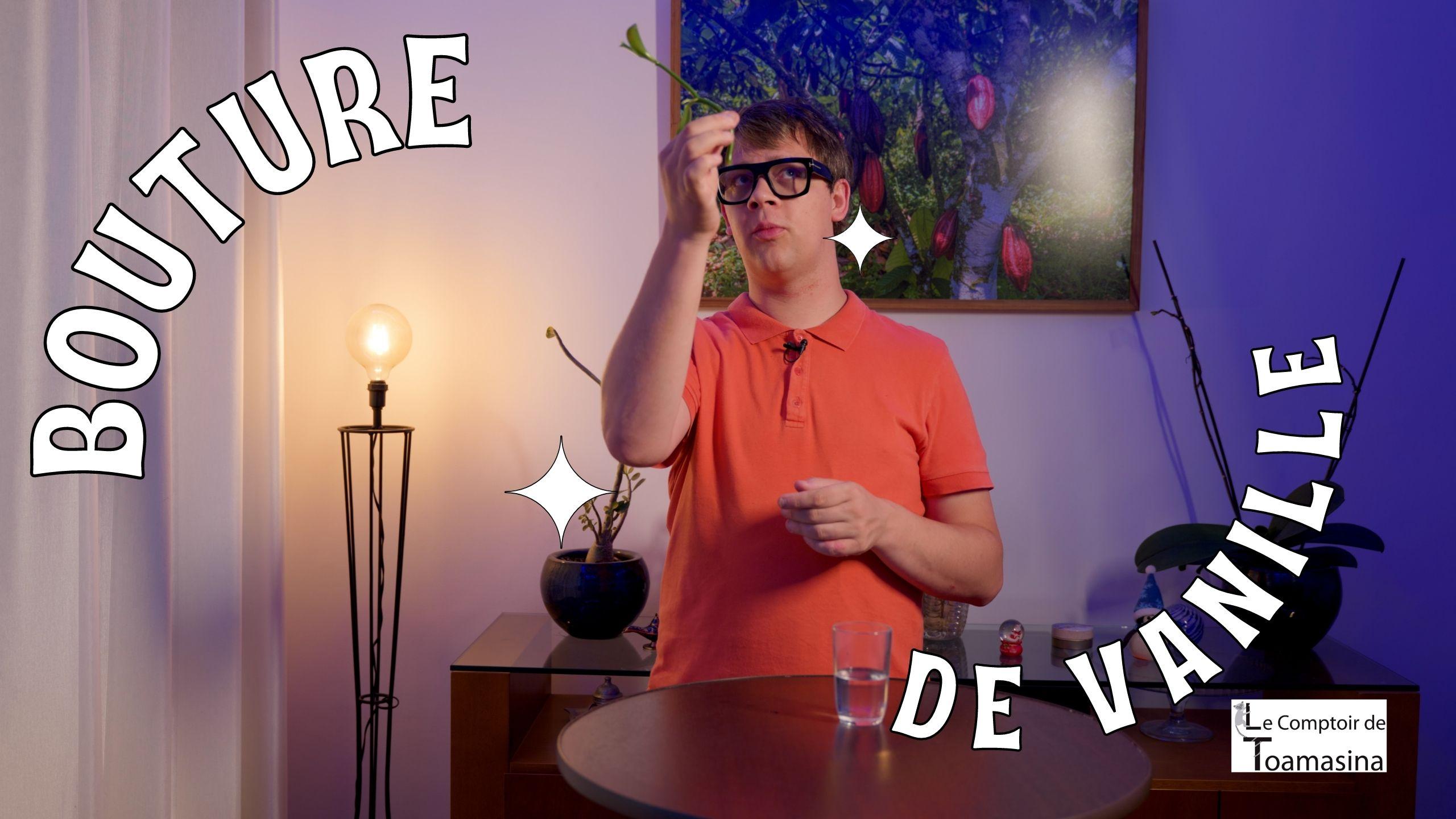 Comment Planter Un Pied De Vanillier Et Le Cultiver Pour Avoir Des Gousses De Vanille