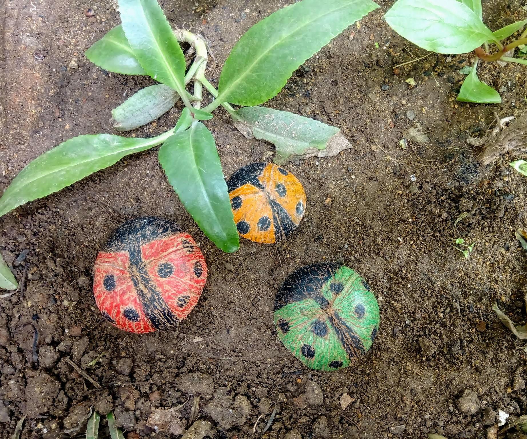 Small Garden, Big Painting Attractions!