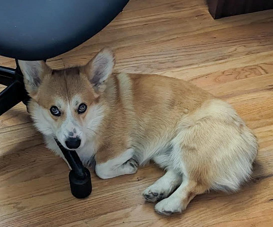 For the Safety of the Office Mate