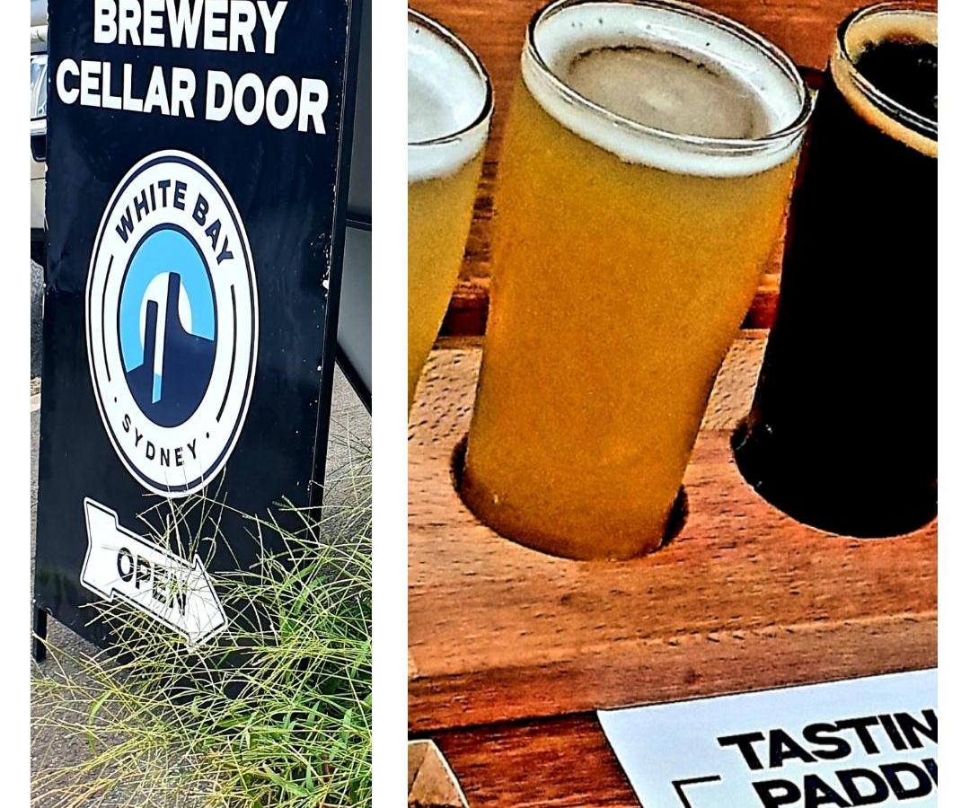 Paper Beer Paddle Cups