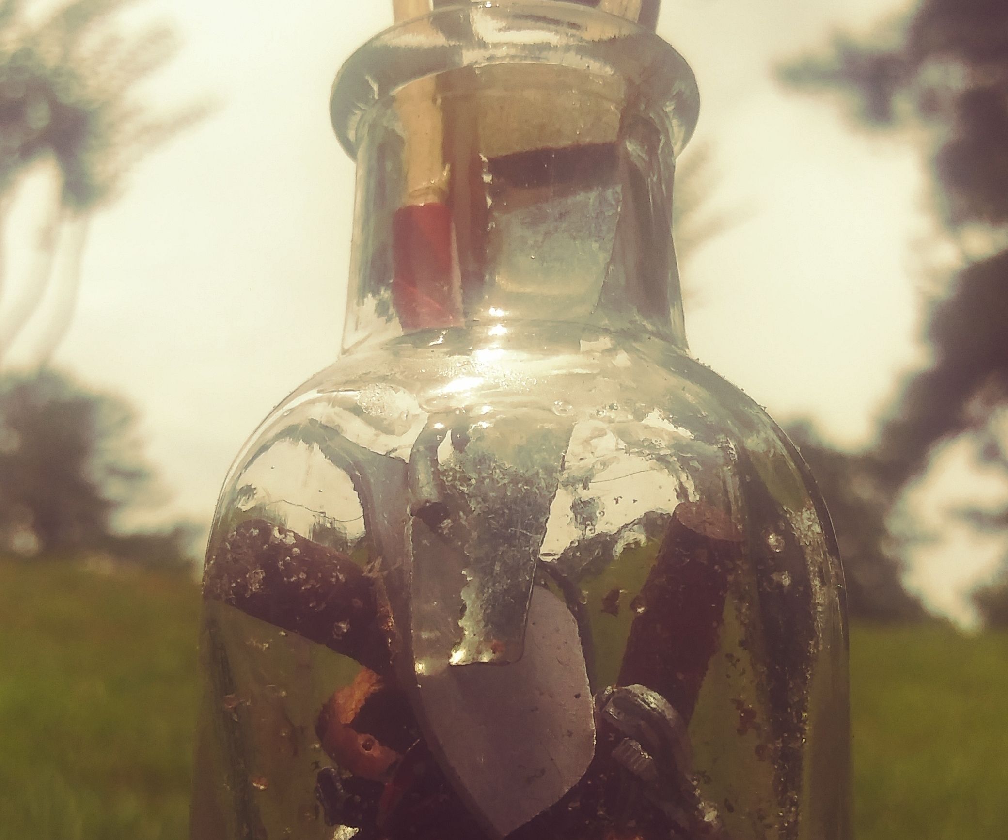 The Secret Pocket Garden