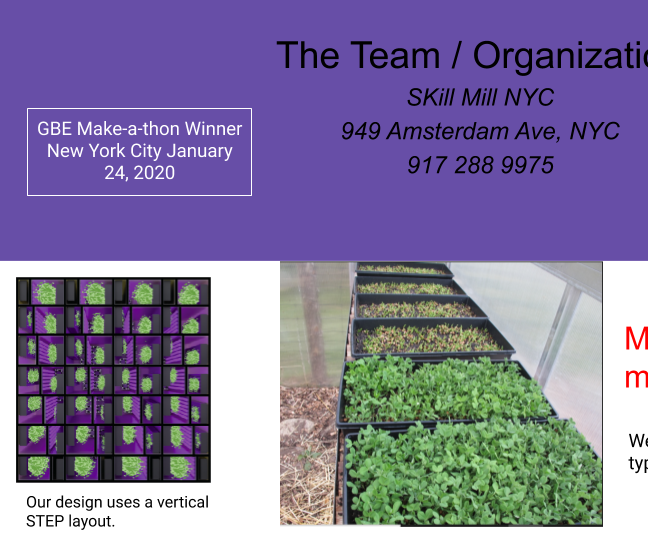 Skill Mill NYC GBE Entry