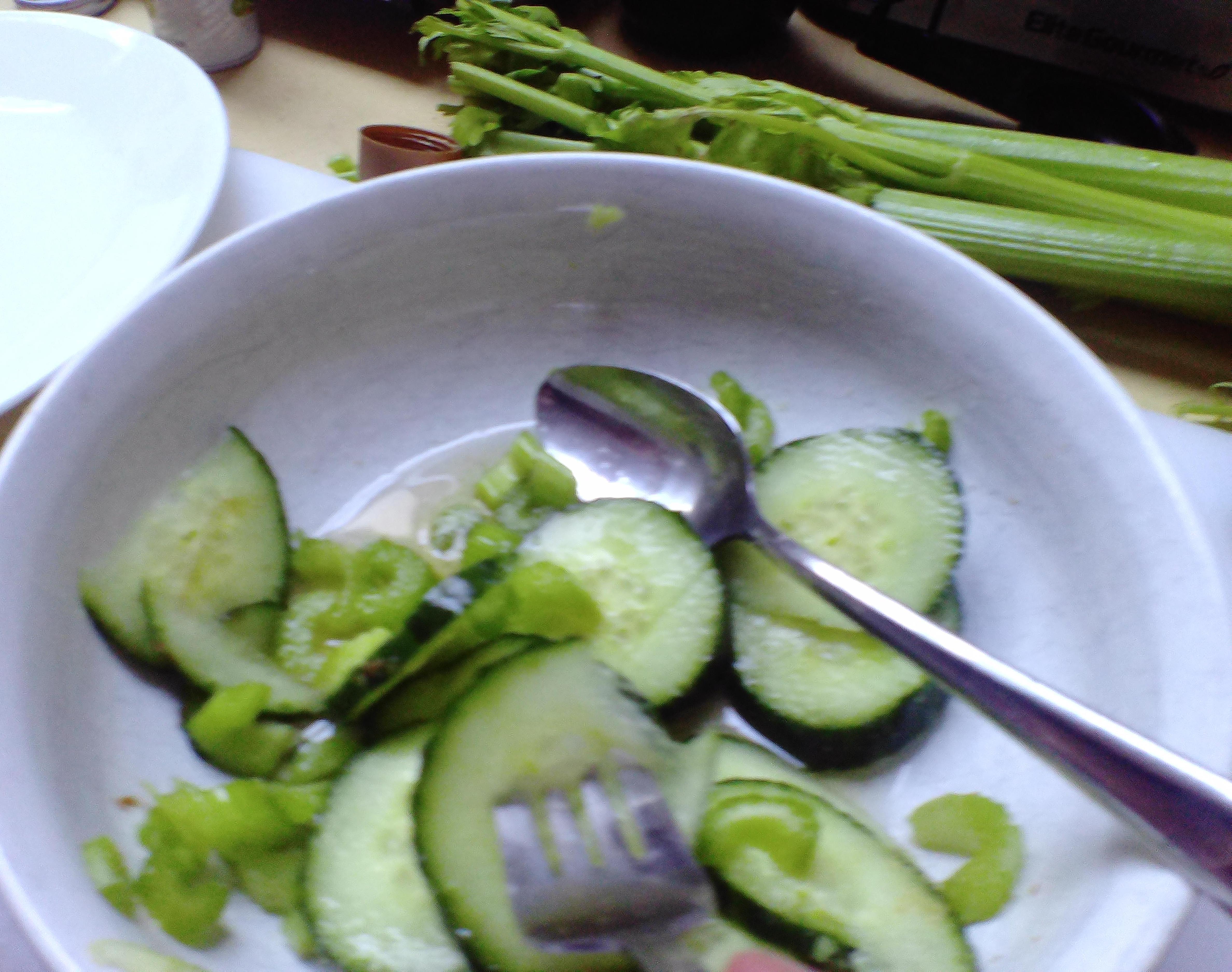 Simple Delicious Cucumber Salad! (by My Sons)