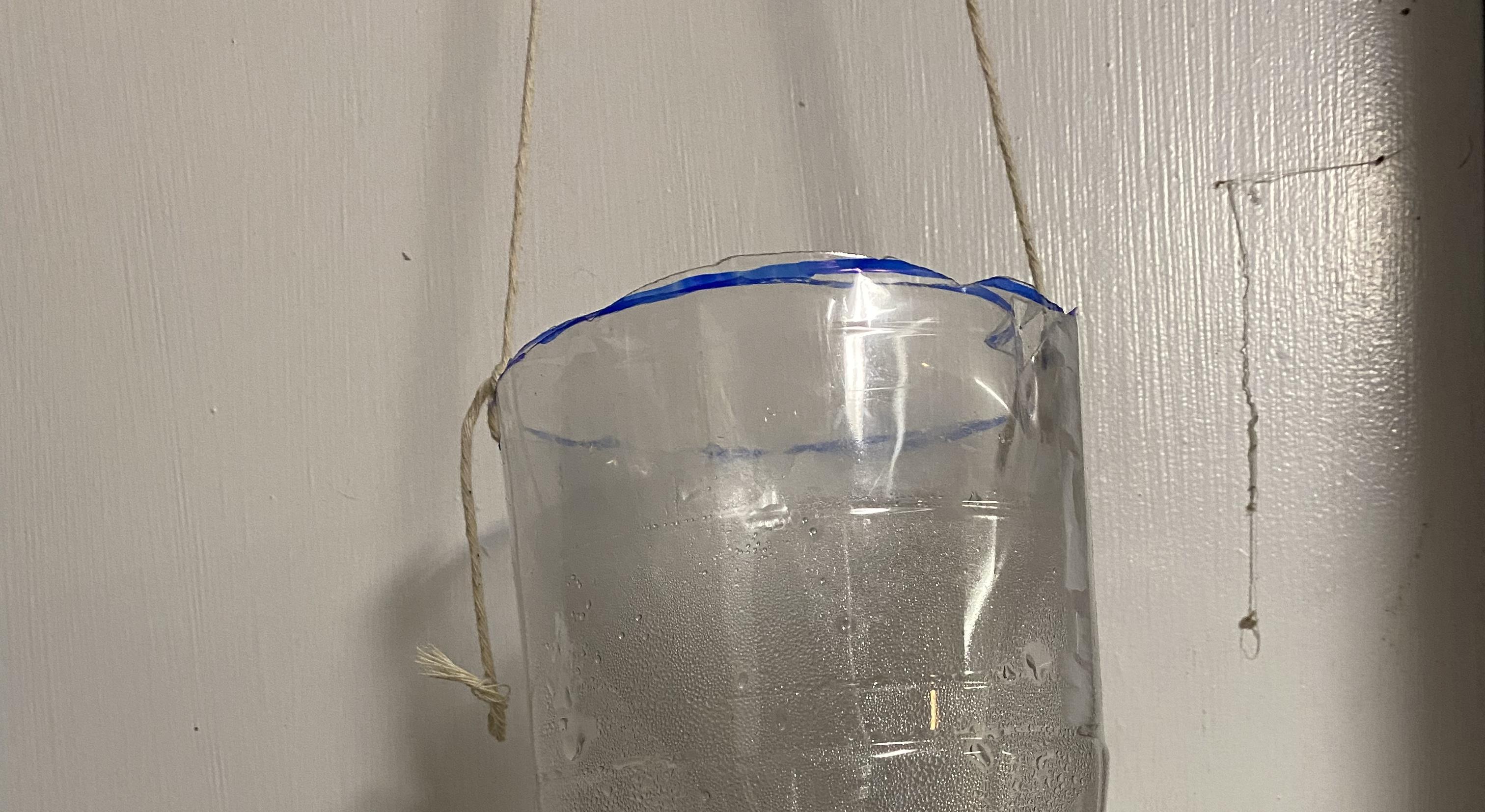 Simple Mosquito/bug Trap