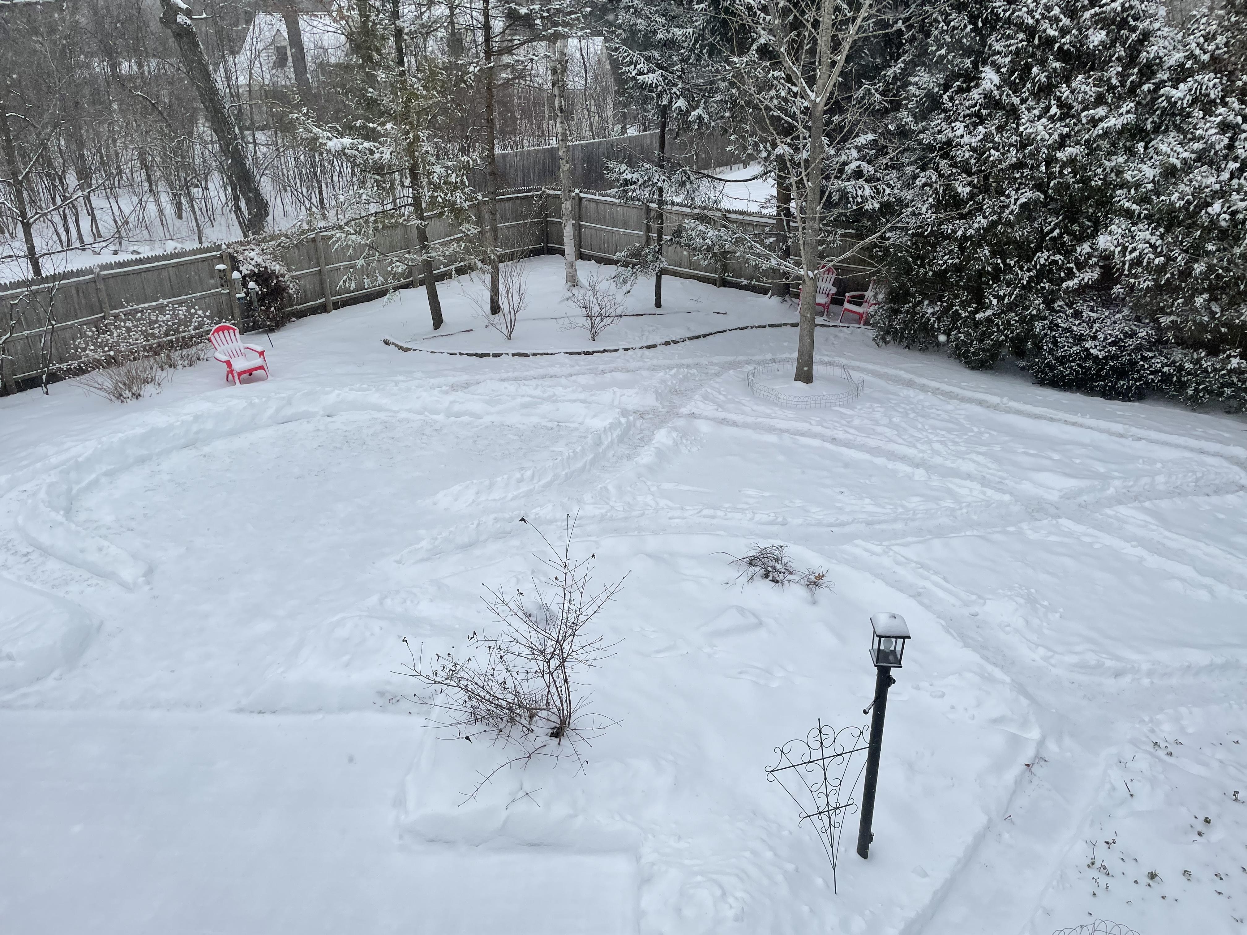 Outdoor Winter Dog Entertainment!