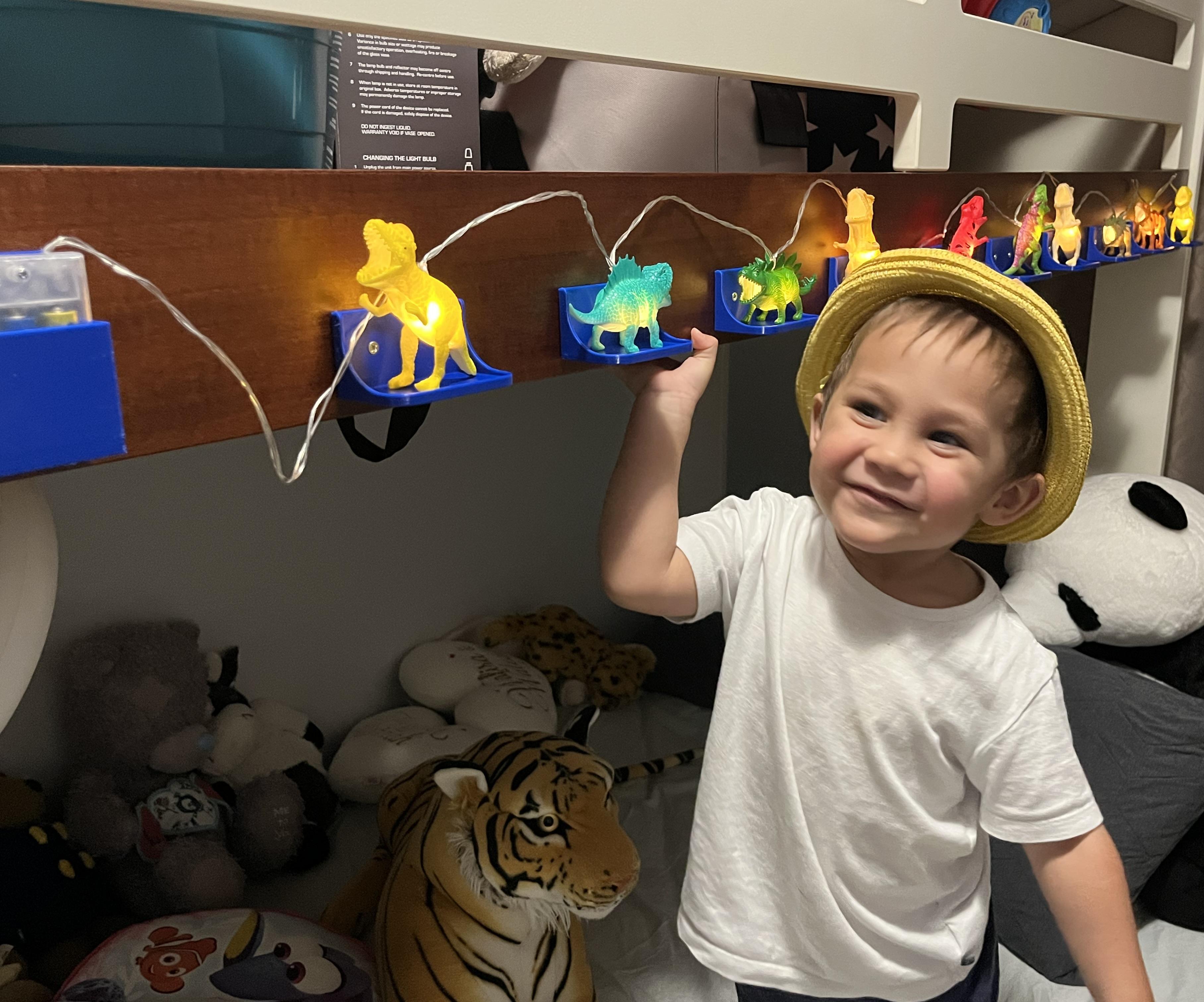 String Light Battery Holder & Dodo Display Shelves