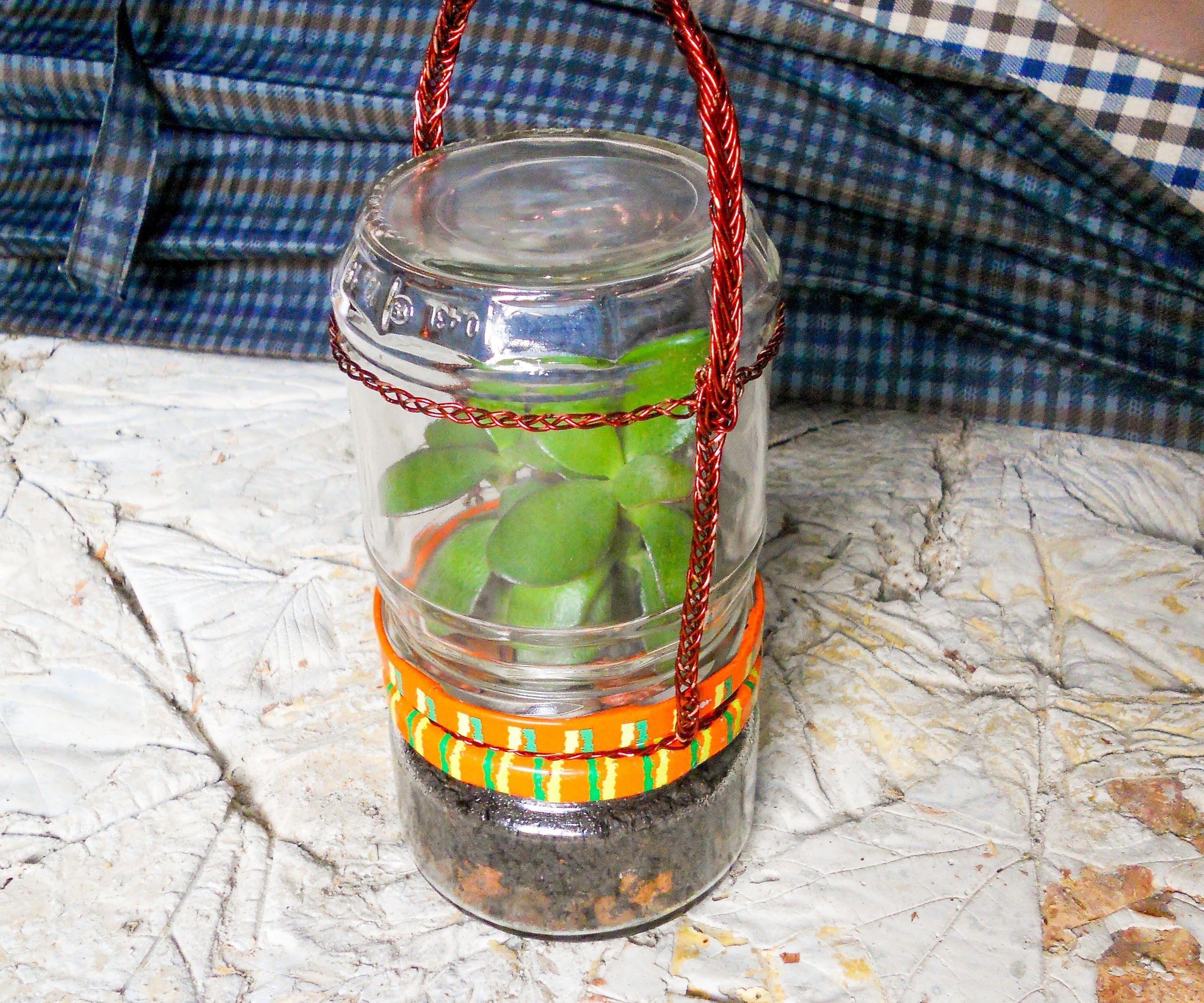 Portable Glass Terrarium for Plants With Removal Parts 