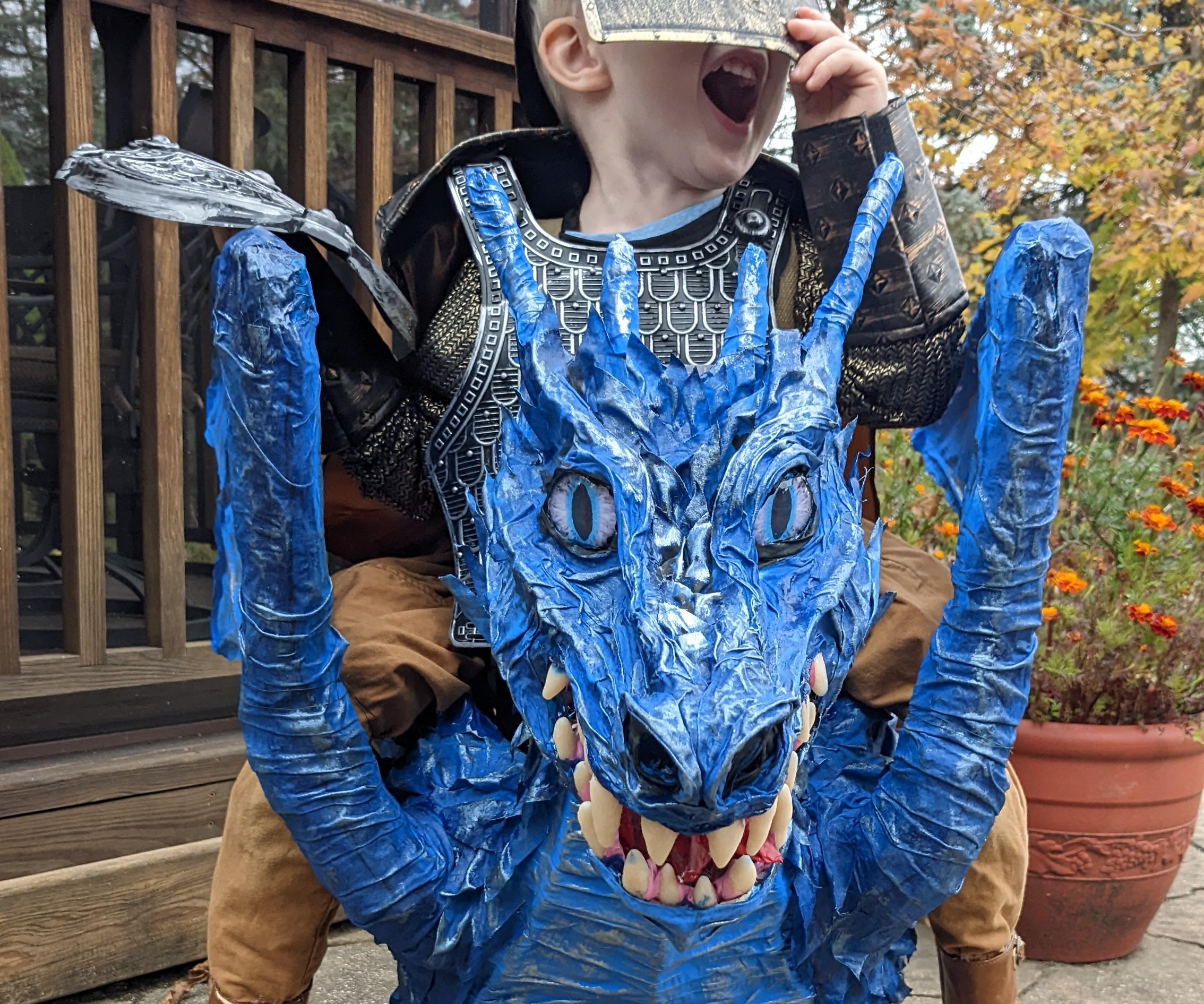 Toddler Dragonrider Costume