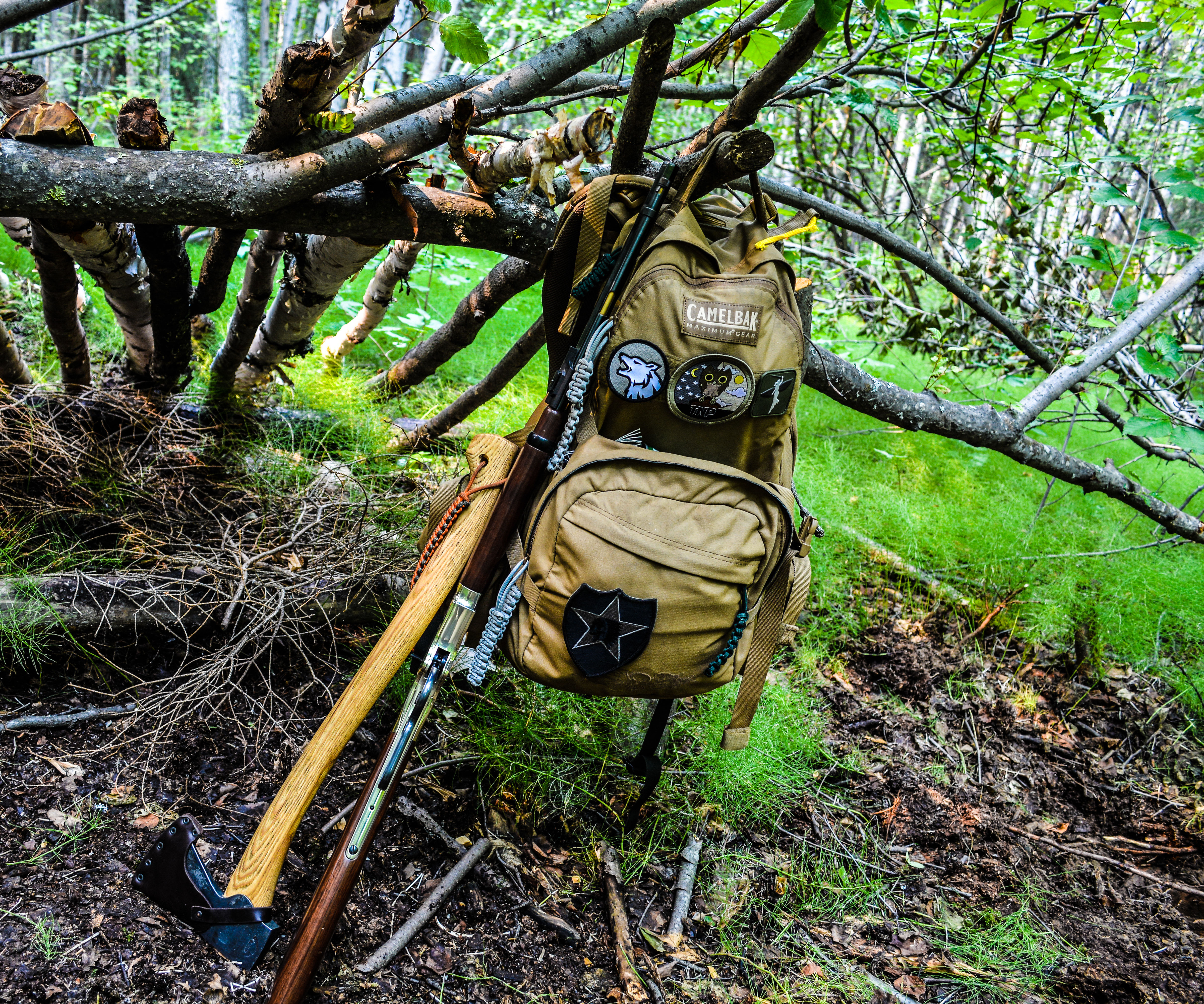 How to Live in the Woods, Long Term 