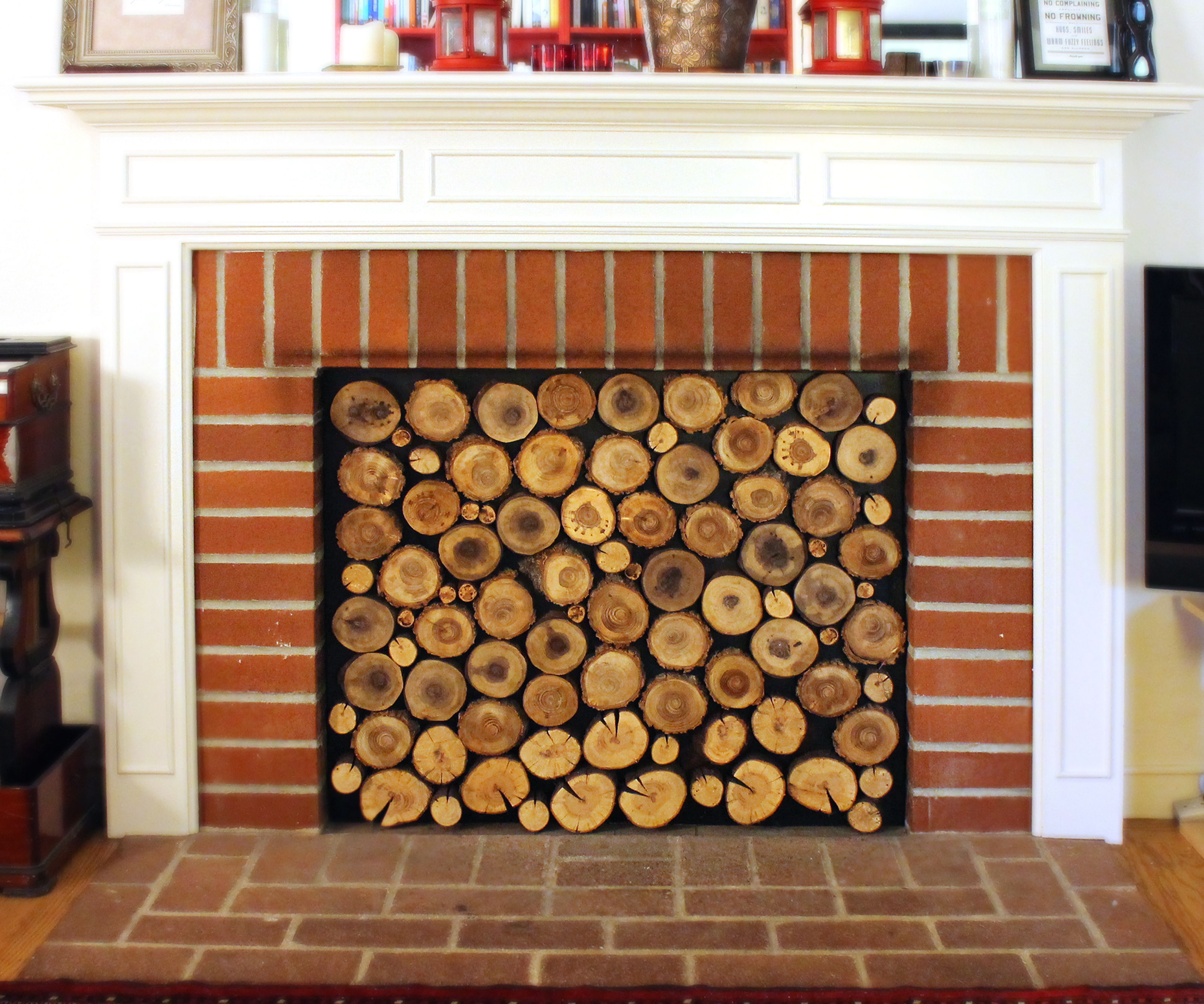 Fireplace Insert