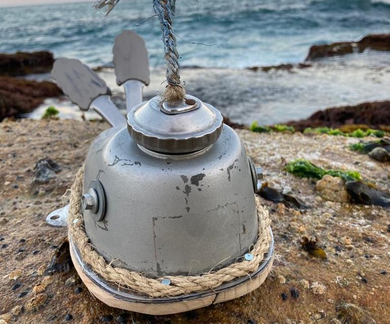 A Whale 🐳 of a Time