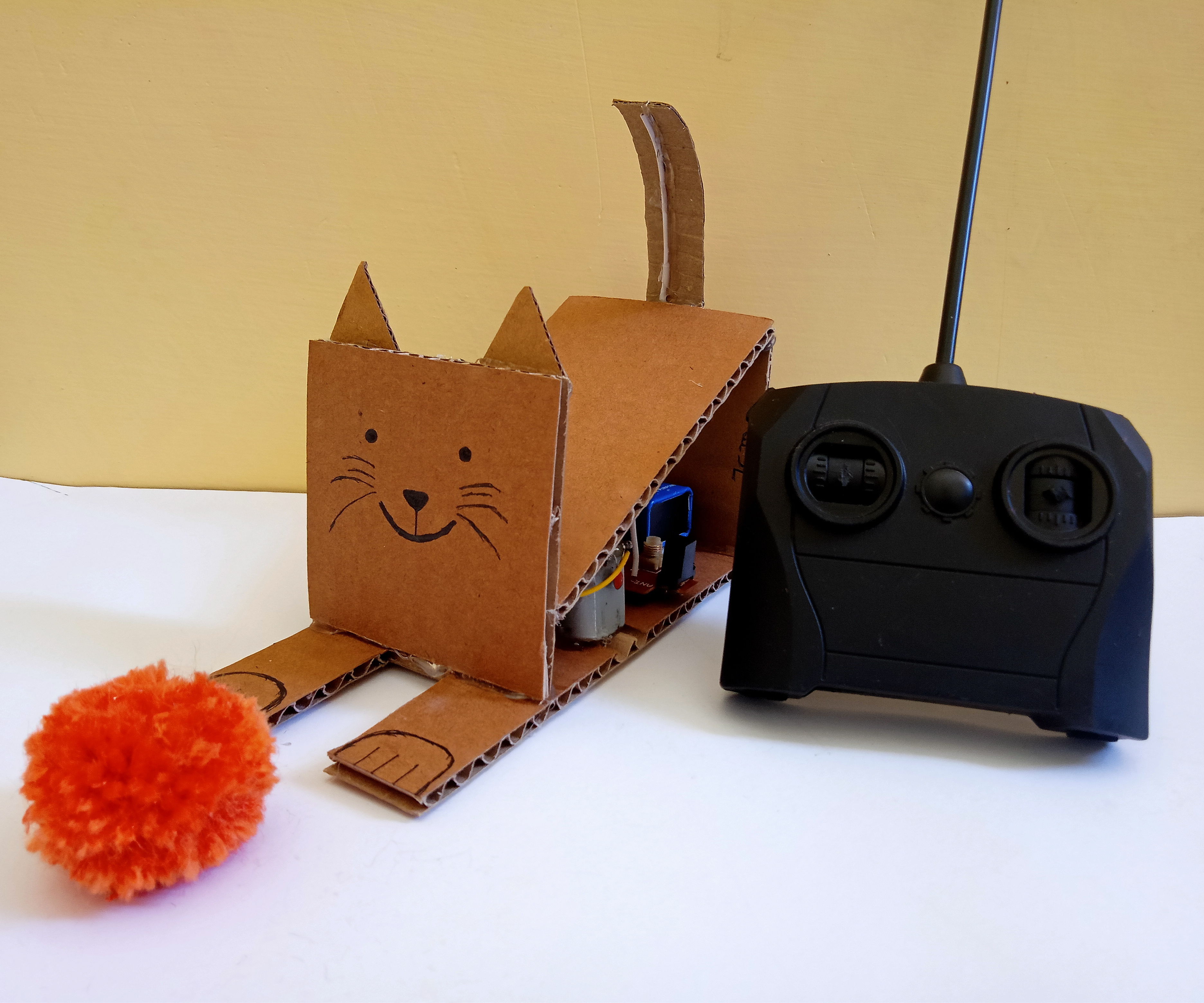 RC Cardboard Cat