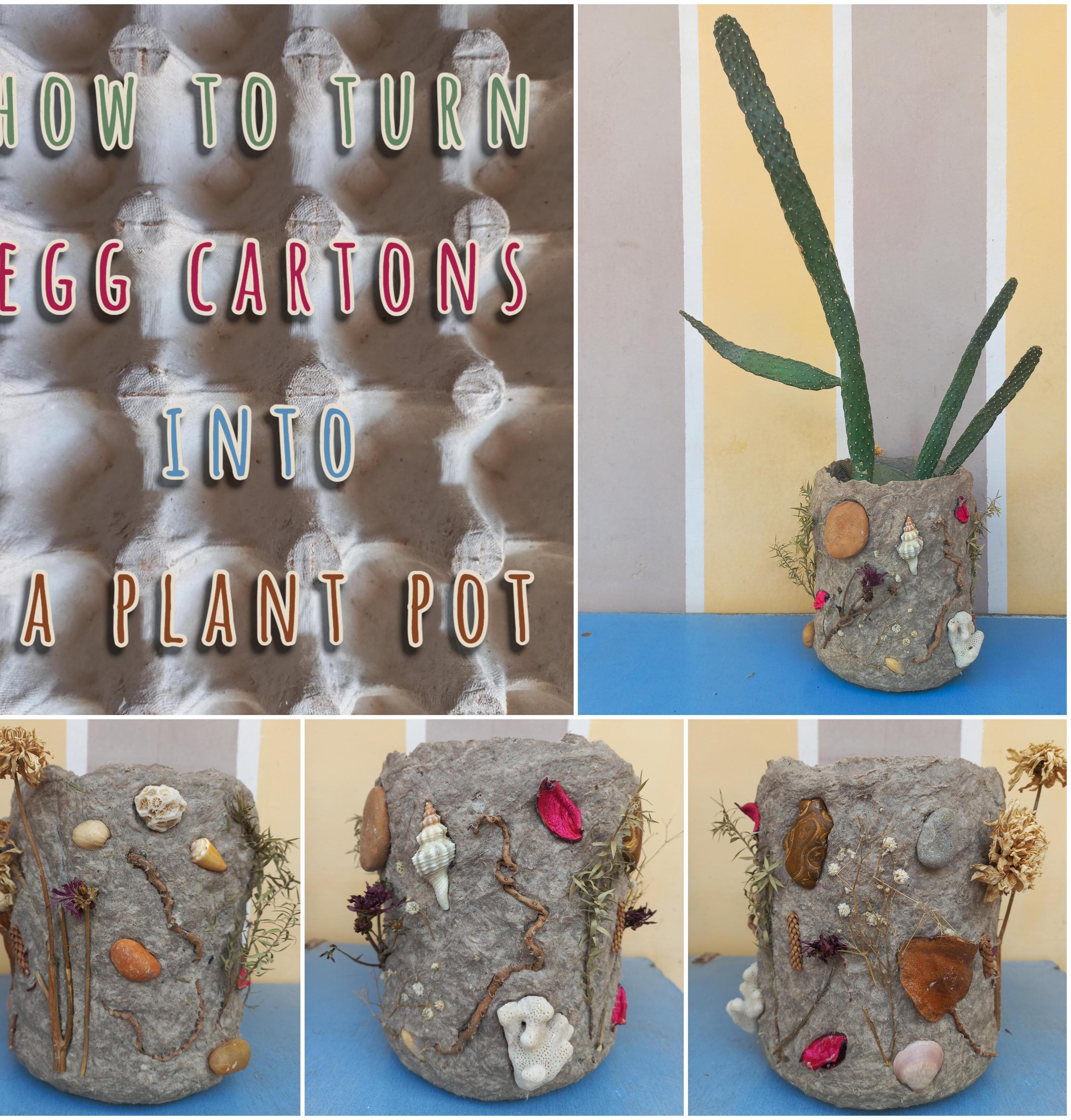 How to Turn Egg Cartons Into a Plant Pot