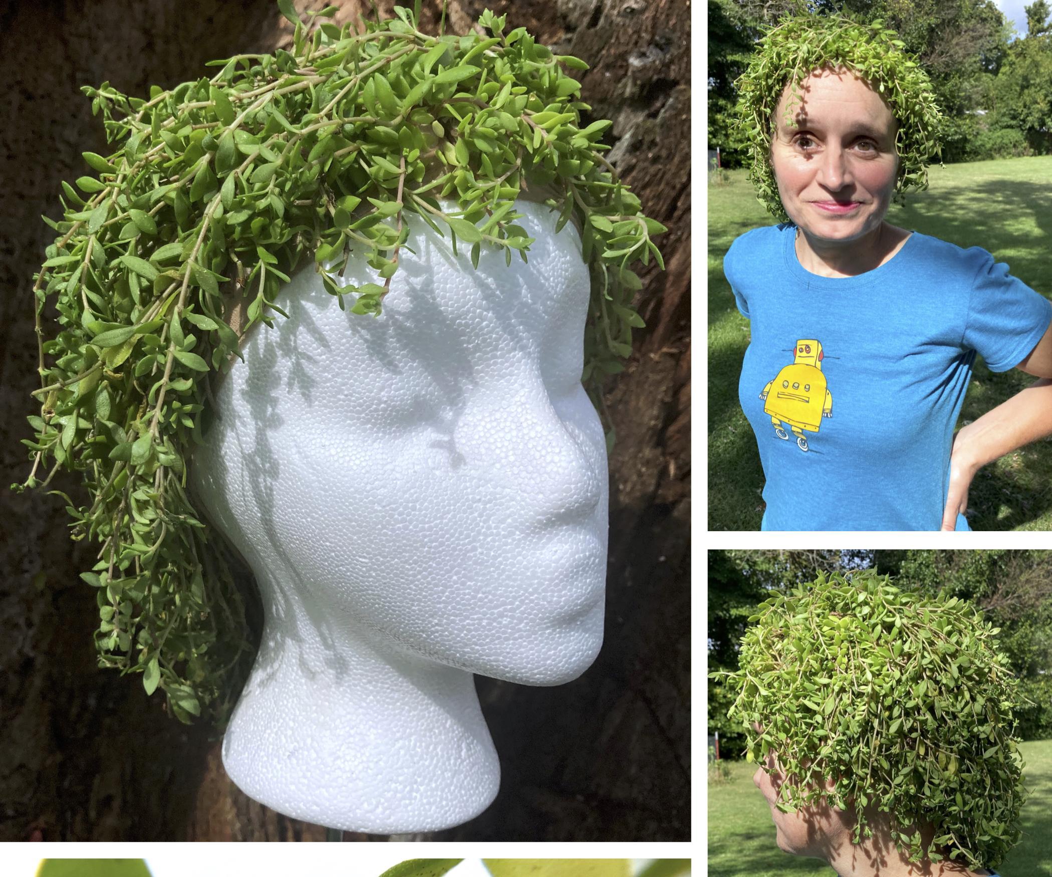 Living, Growing Plant Wig!