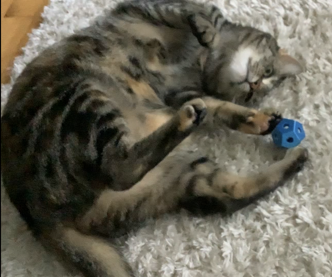 3D Print Cat Toy