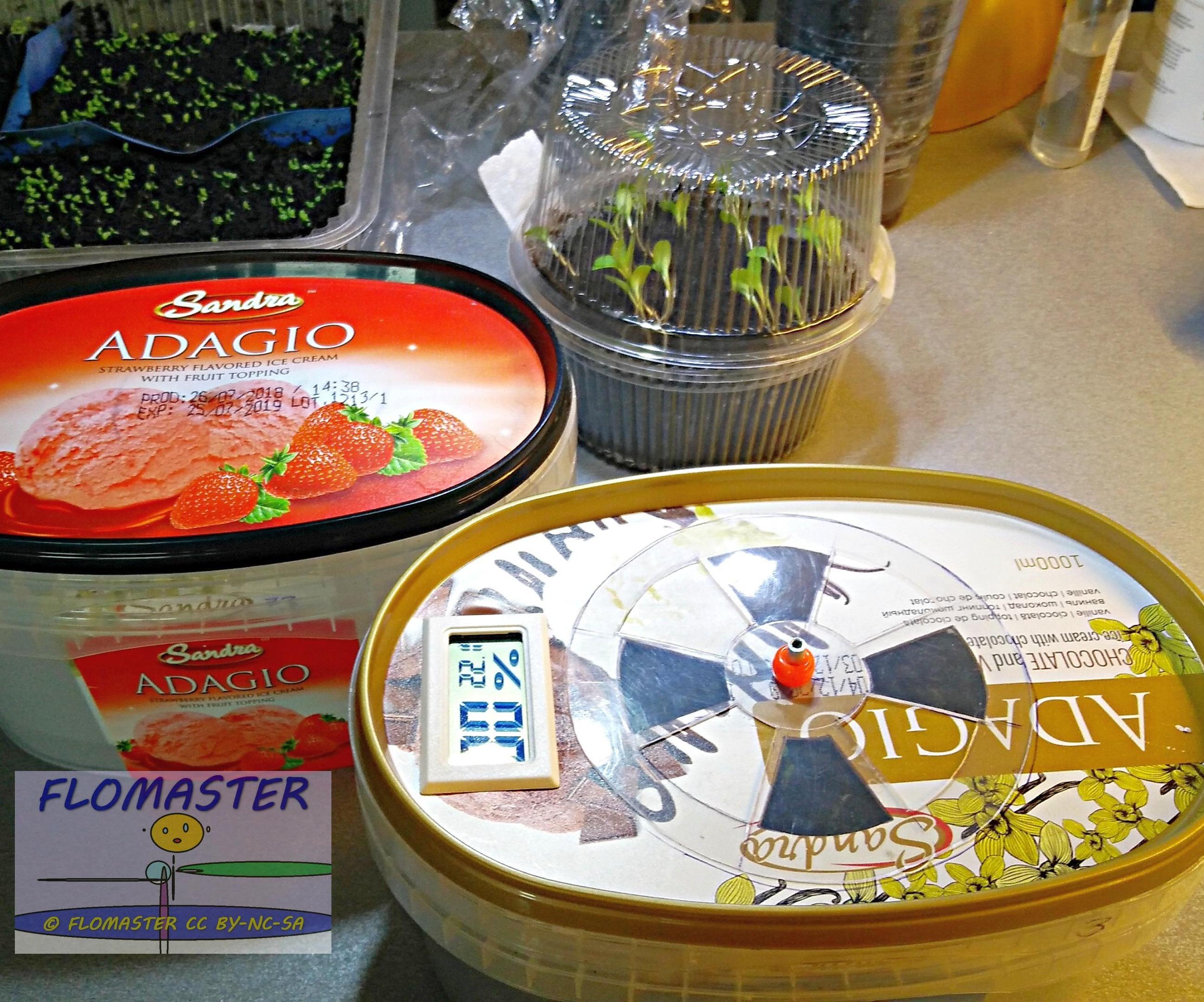 🌼 DIY Seedling Propagator From Recycled Plastic Container 🌼