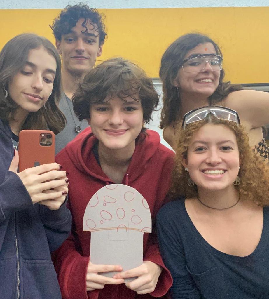 O Carrinho Que Segue a Linha 🍄