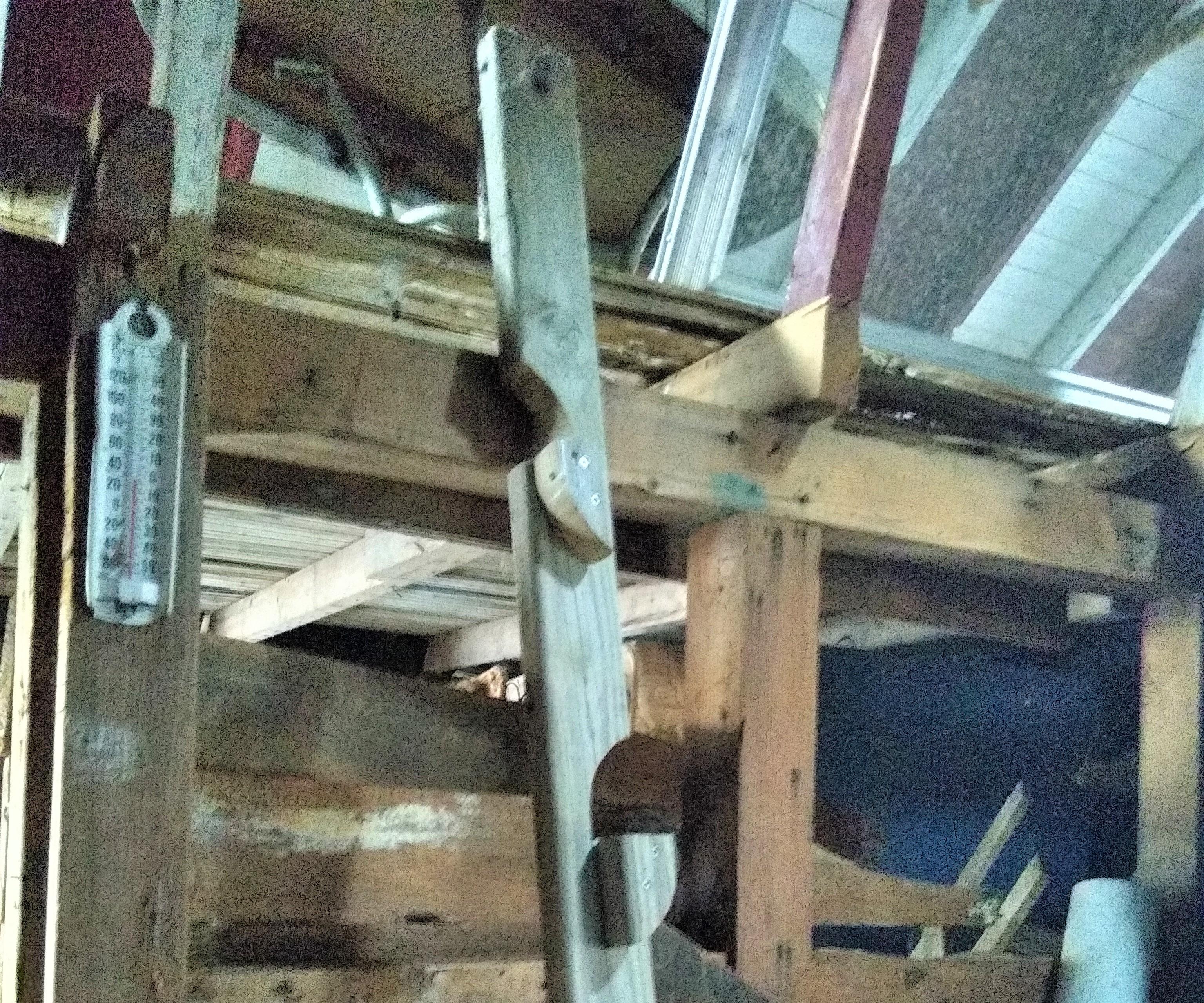 2x4 Ladder