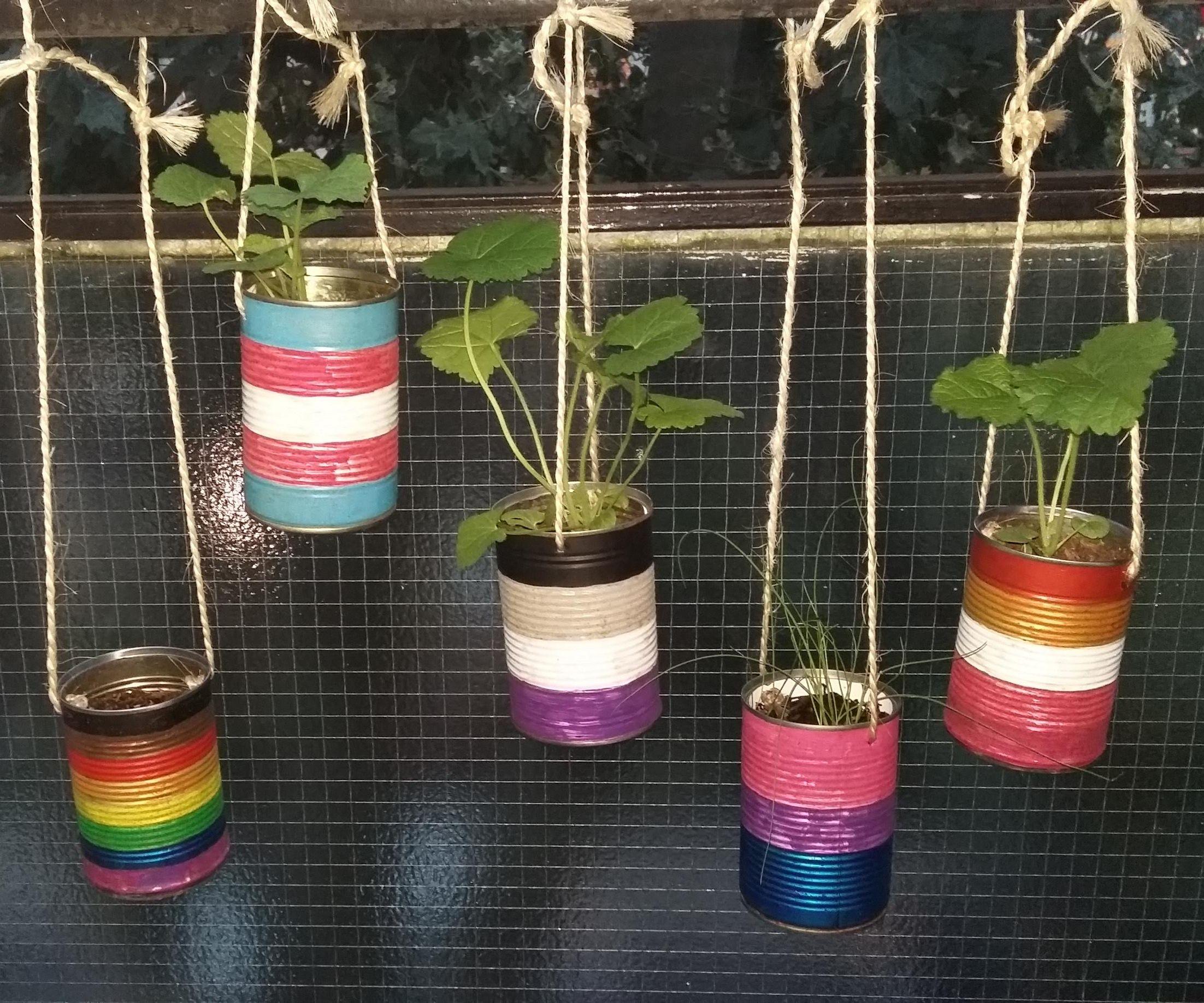 Start a Garden From Scratch From Scraps