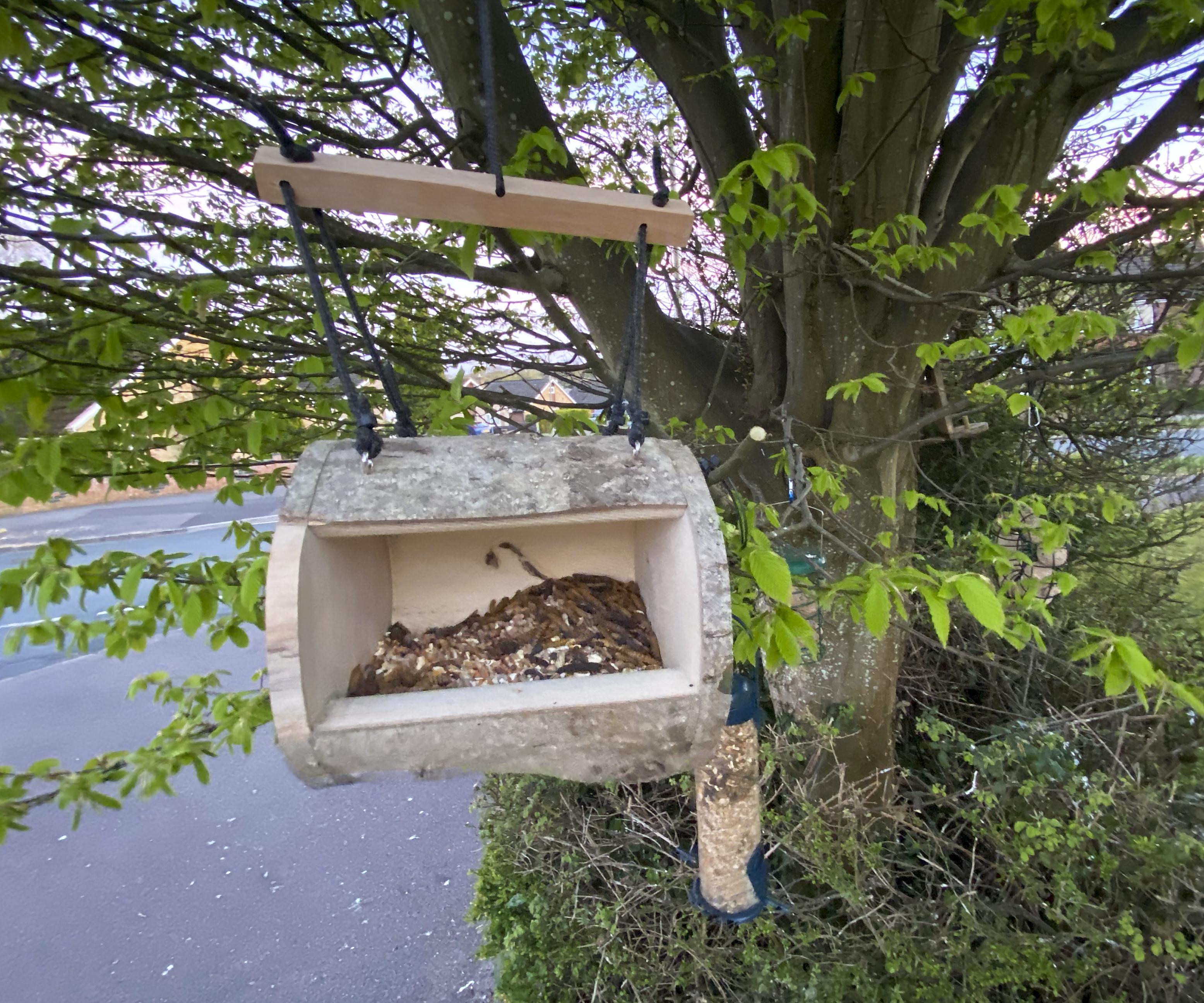 Open Face Bird Feeder