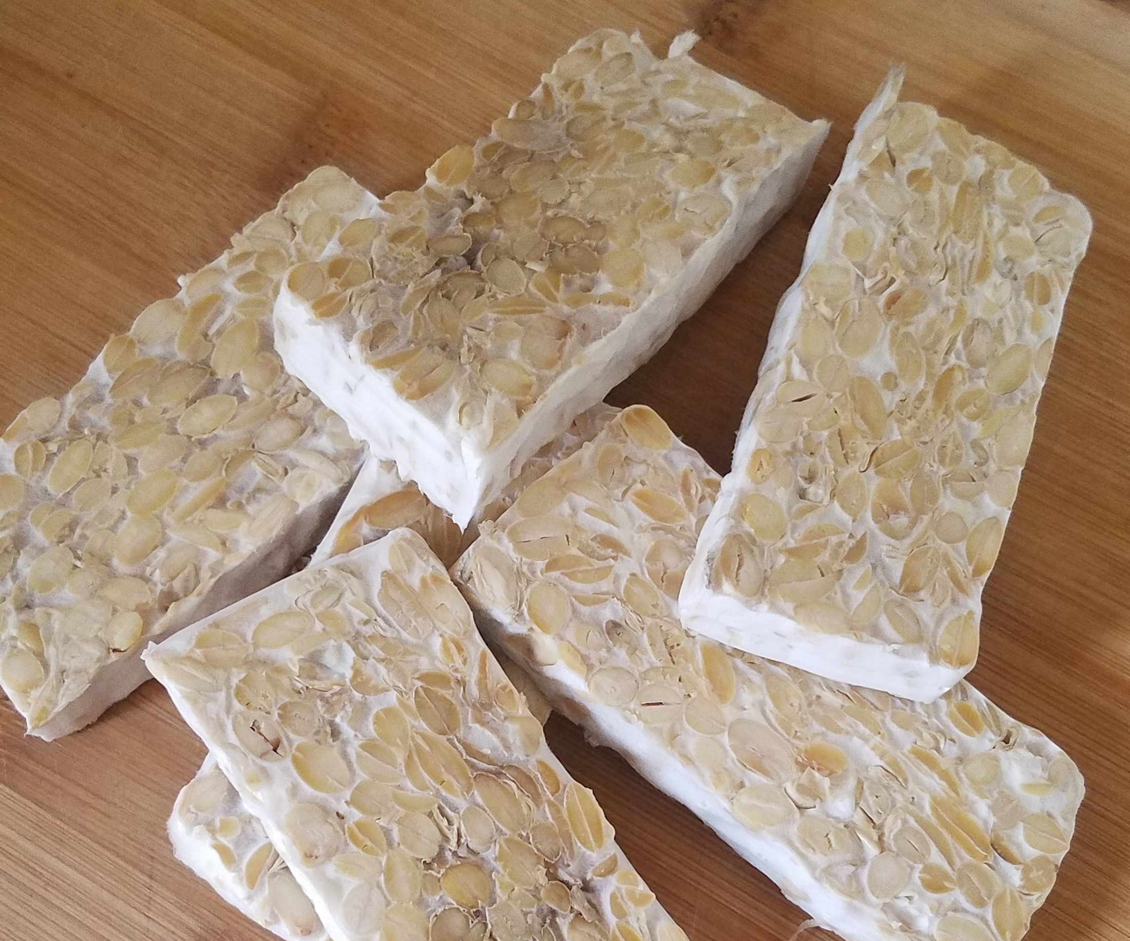 Easy Organic Sprouted Tempeh