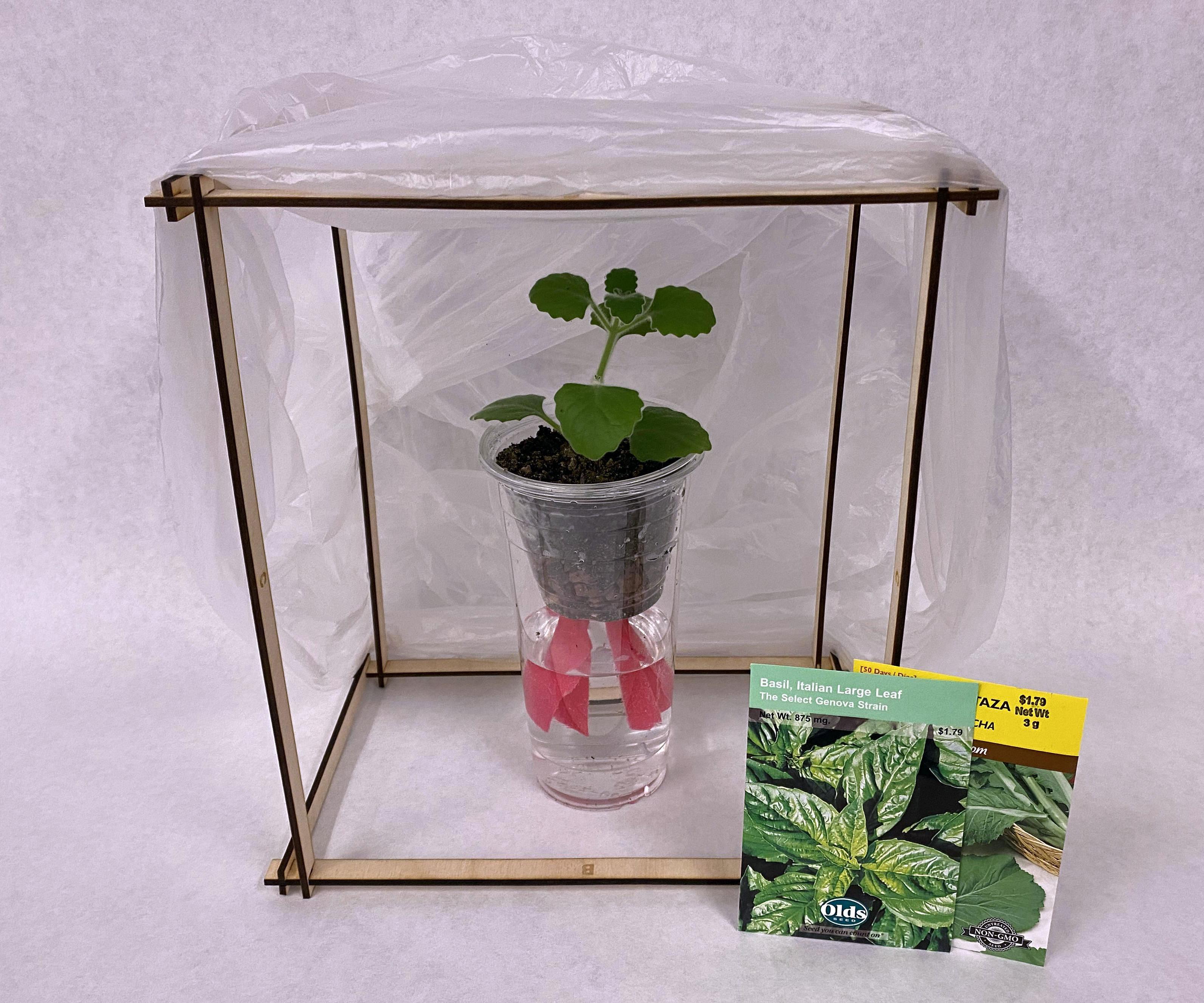 Self Watering Planter & Tabletop Greenhouse