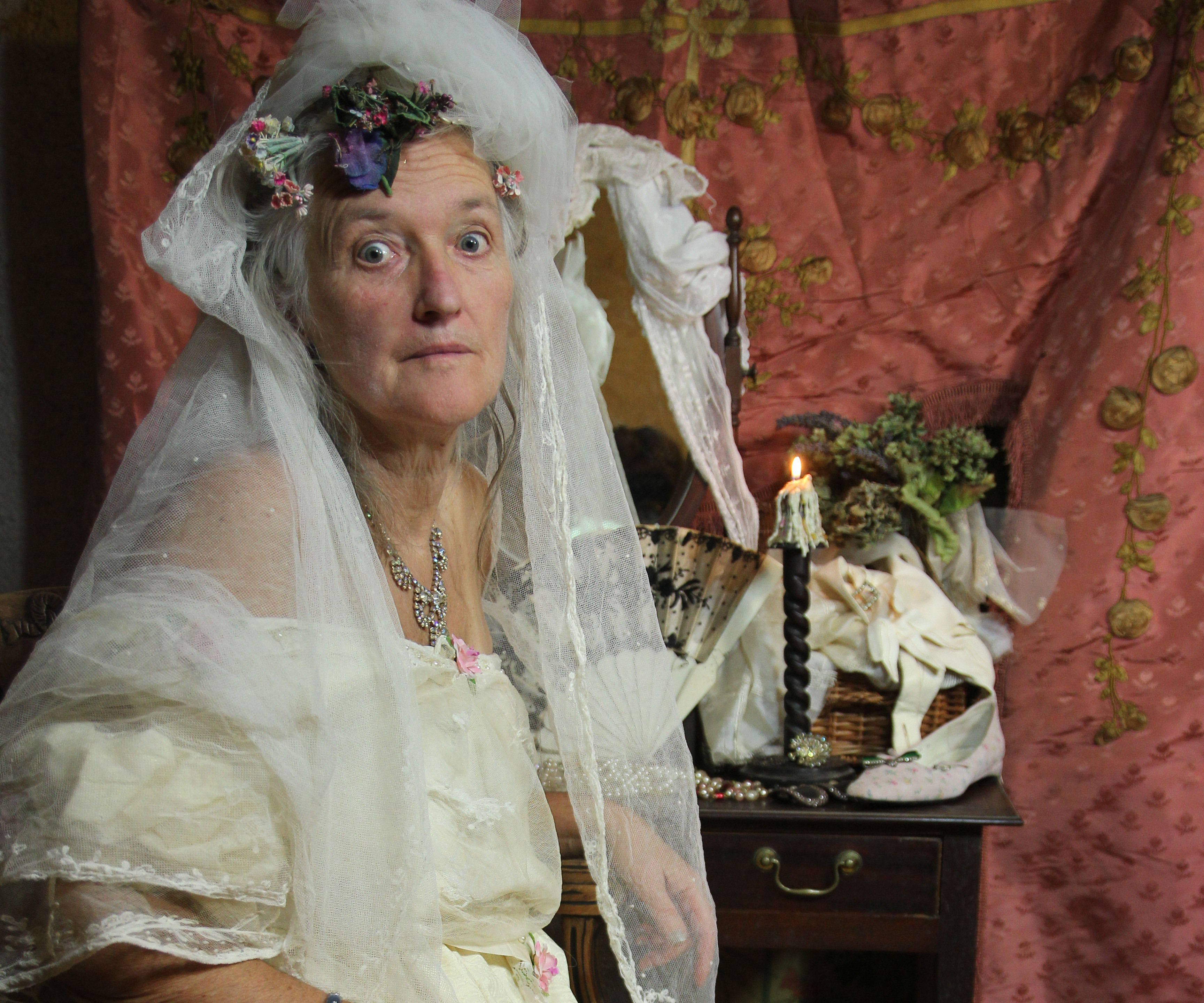 Miss Havisham - the Perpetual Bride From Charles Dickens's Great Expectations
