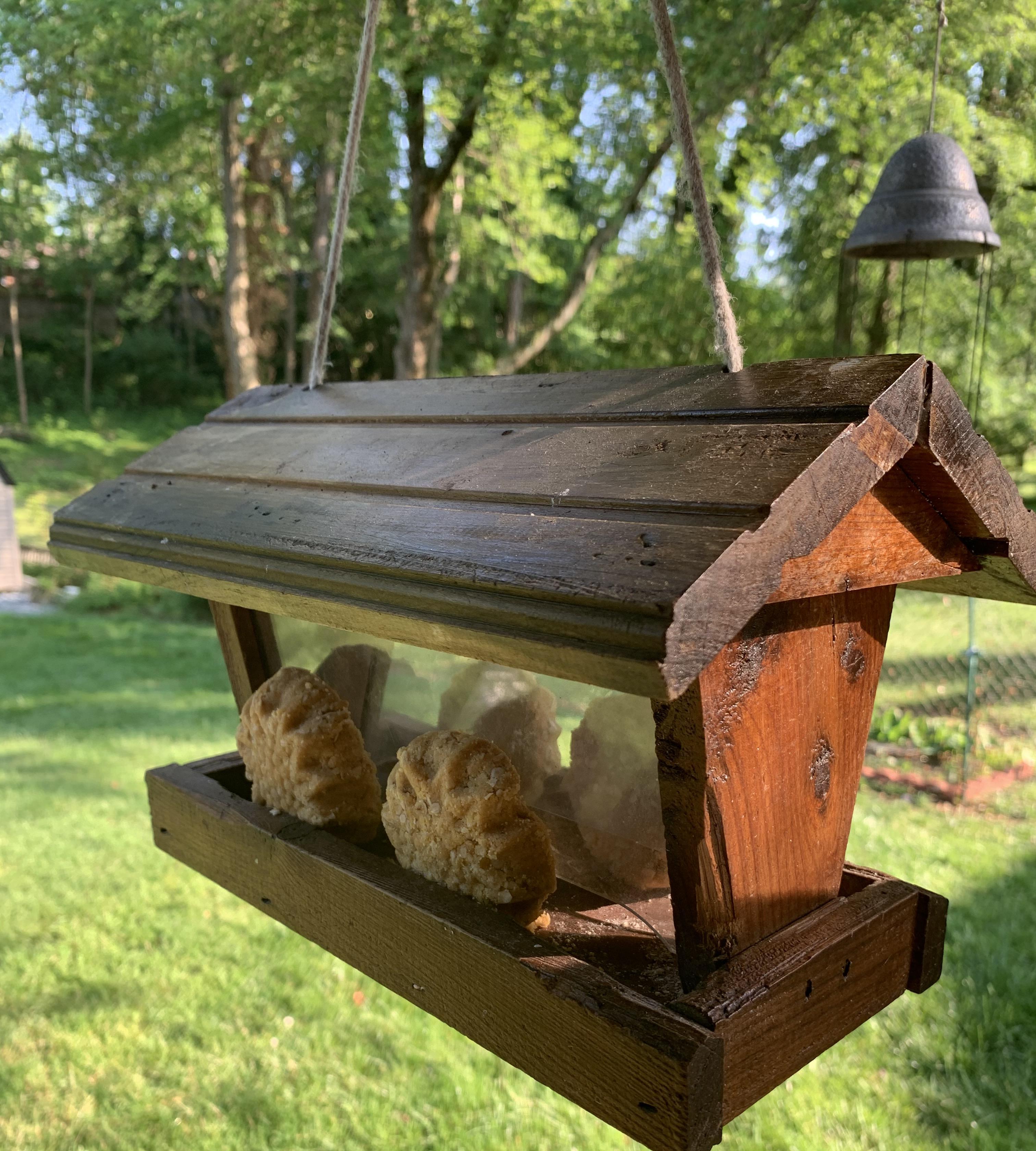 Easy Suet for the Birds