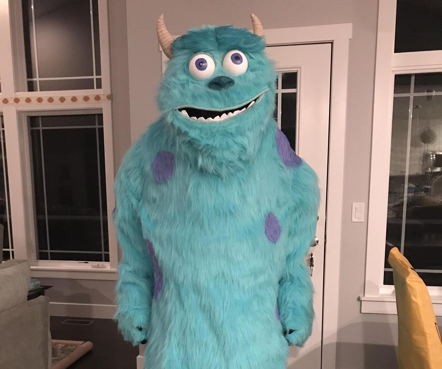 Sulley (Trademark Disney) Monster Homemade Halloween Costume