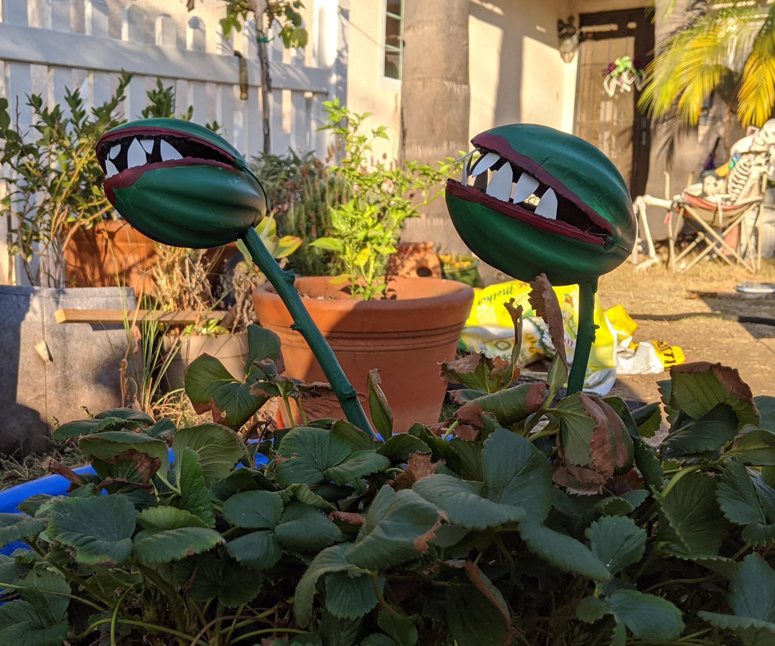 Let's Make Some Killer Plants!