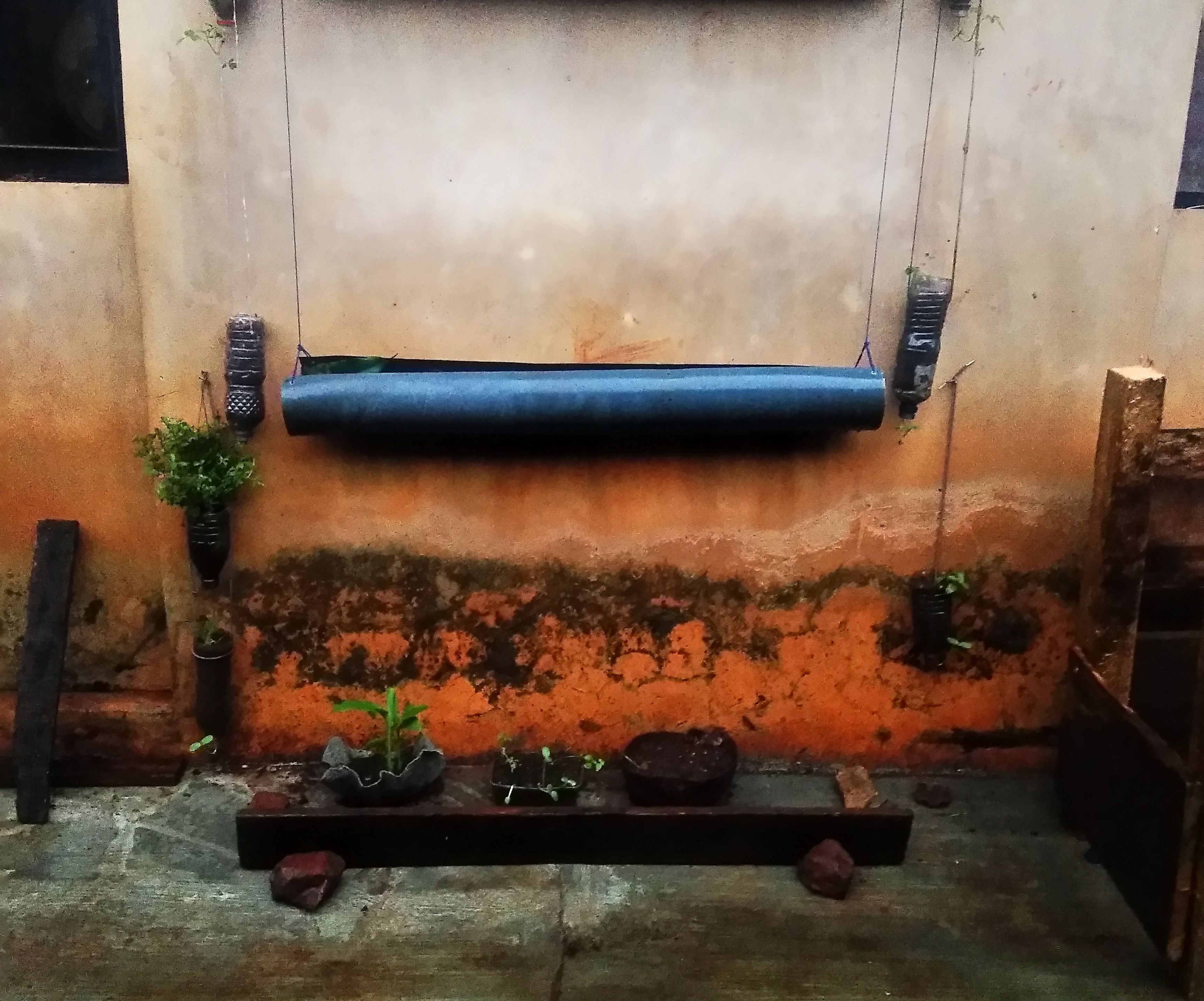 Mini Backyard Into Green Space.