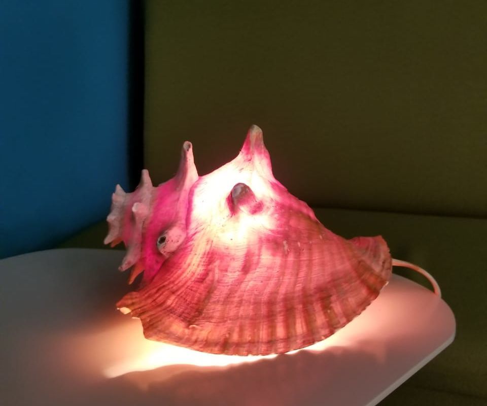 Simple Conch Shell Ambient Light