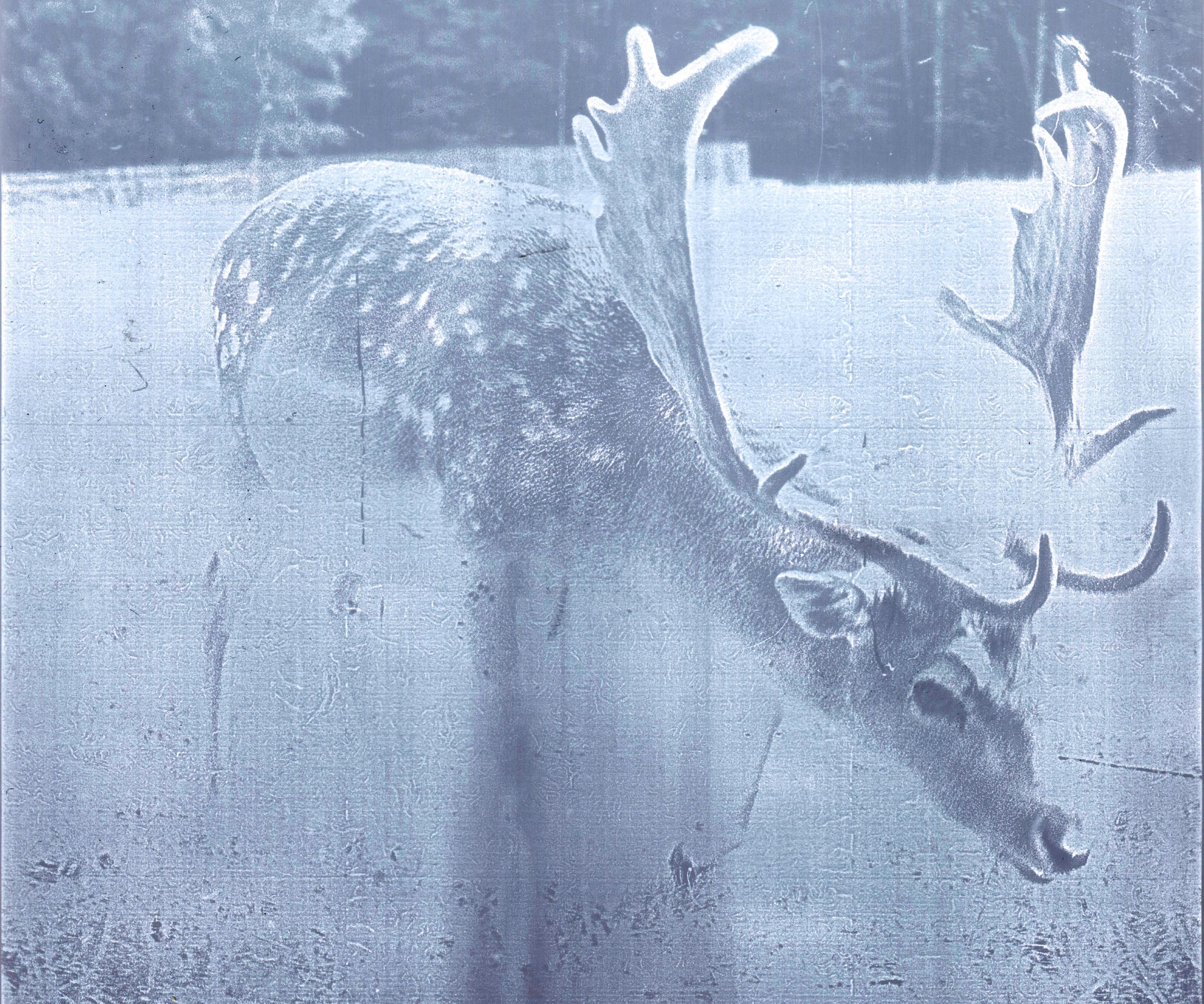 Lumen Printing in the Dark