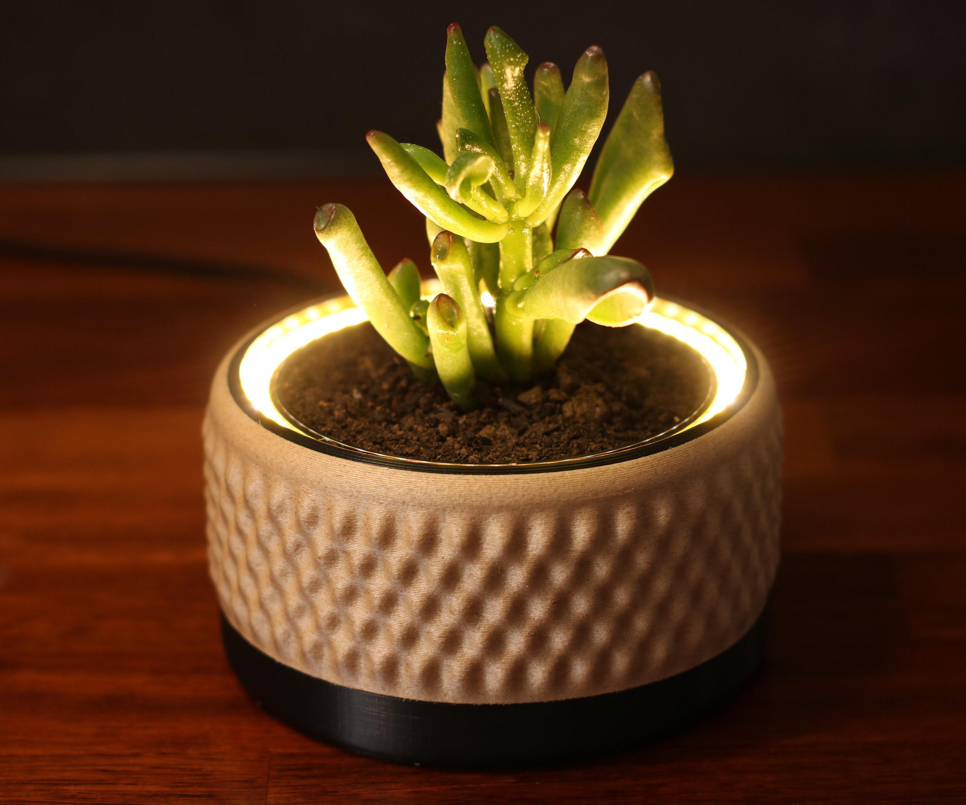 Lamp Planter