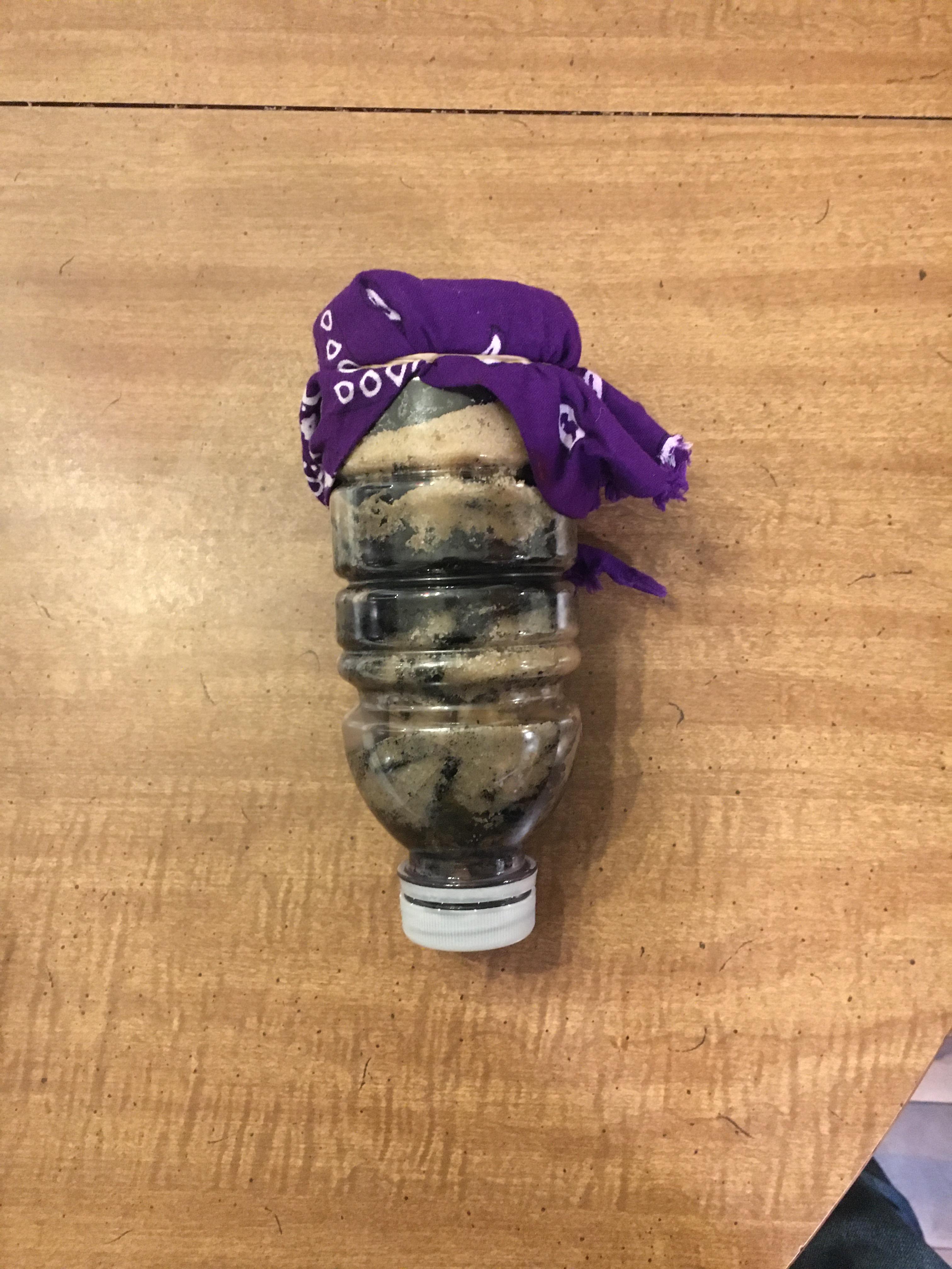 Basic Survival Water Filter Lesson