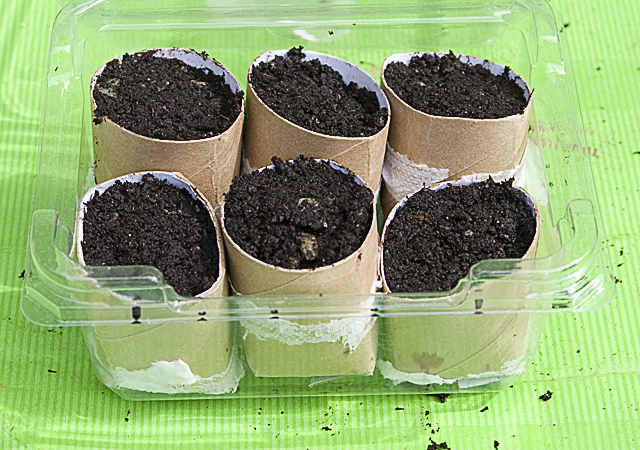 Mini Seedling Greenhouse