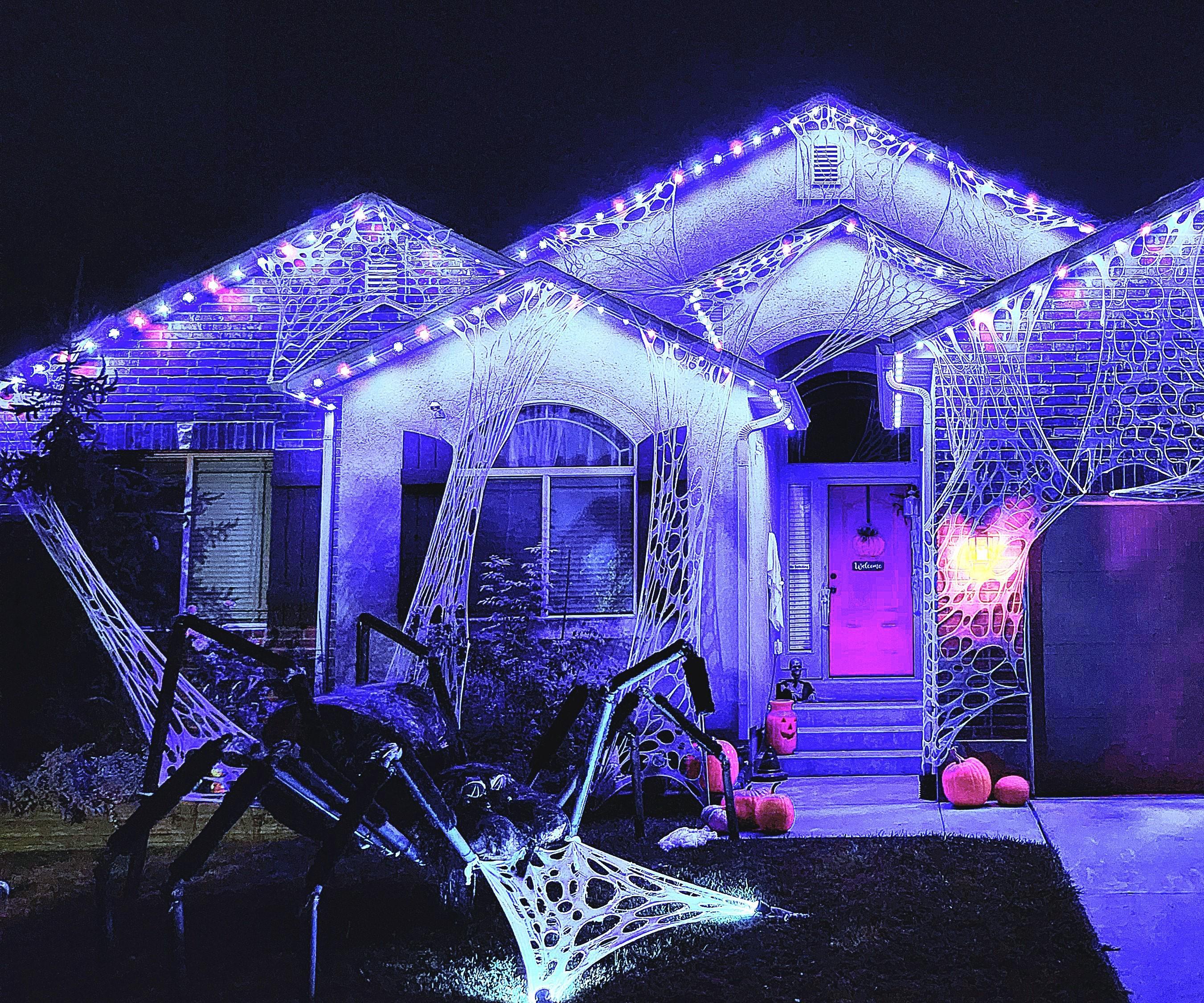 GIANT Realistic Halloween Spider Decoration