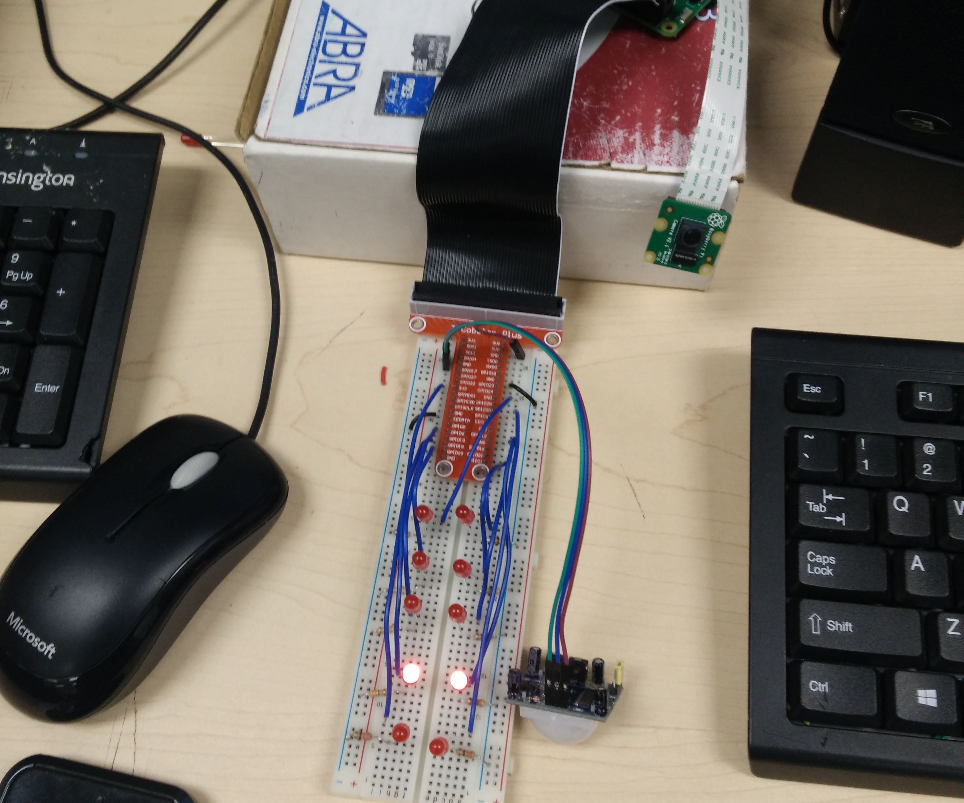 SanityForce (Alarm System- Rpi)