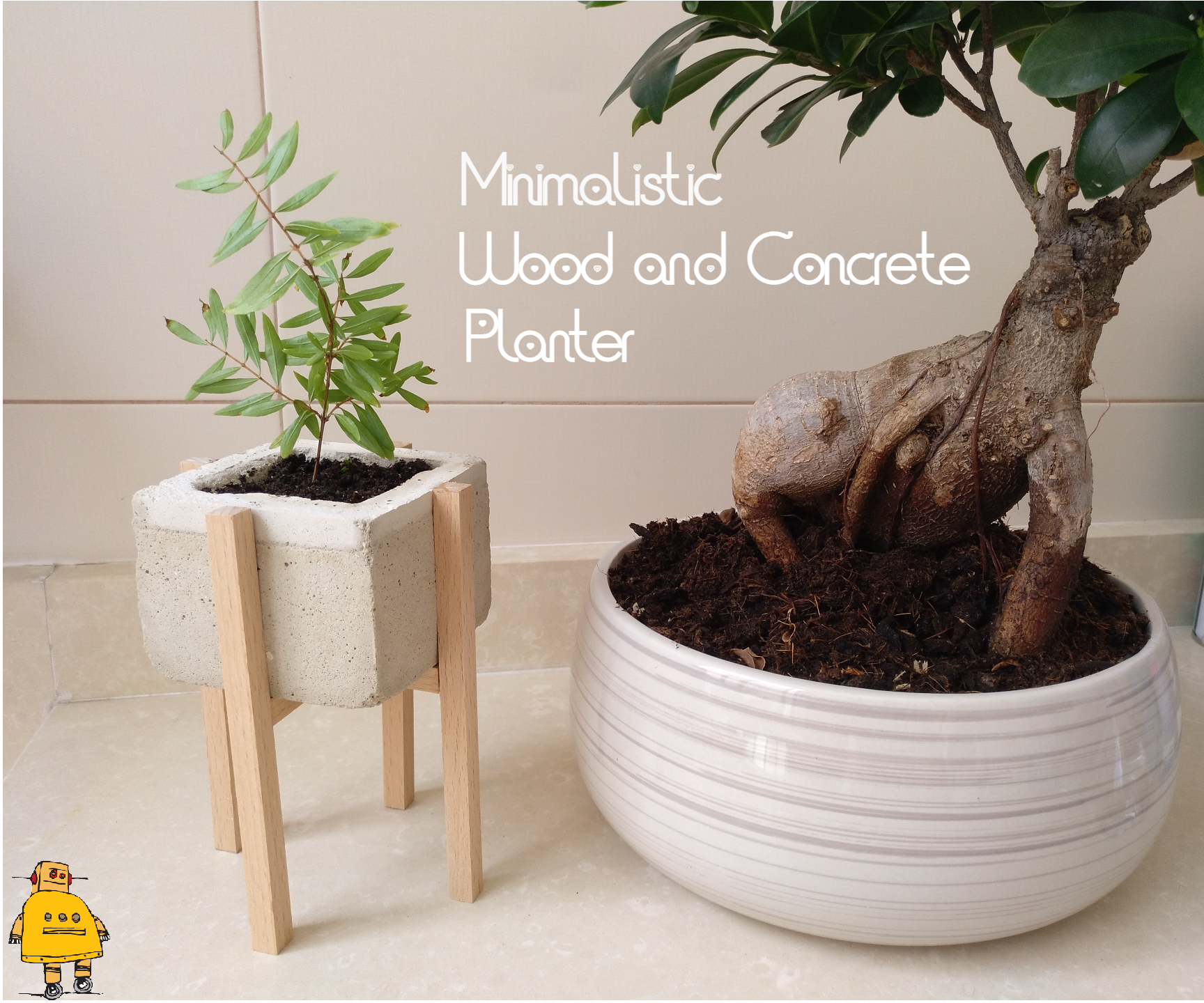 Minimalistic Wood and Concrete Planter