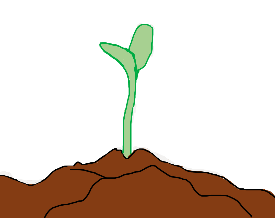 Homemade, Environmentally-Friendly Fertilizer