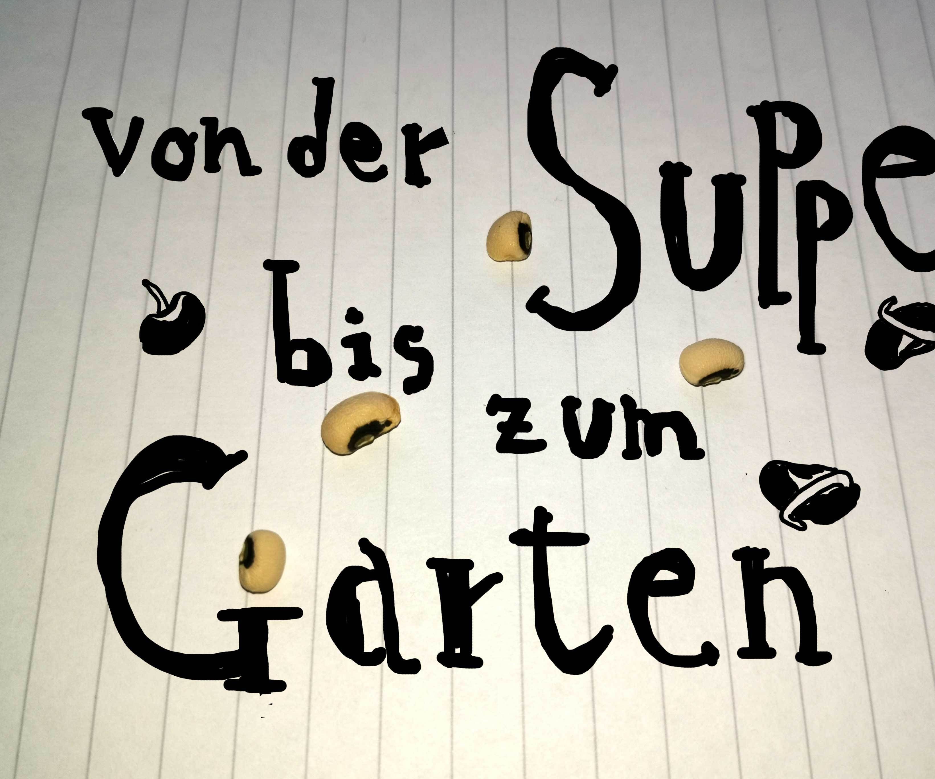 Von Der Suppe Bis Zum Garten: Sprossen Ziehen Und Imaginäre Pflanzen