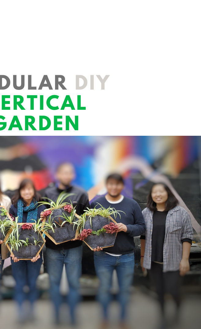 Modular DIY Vertical Garden