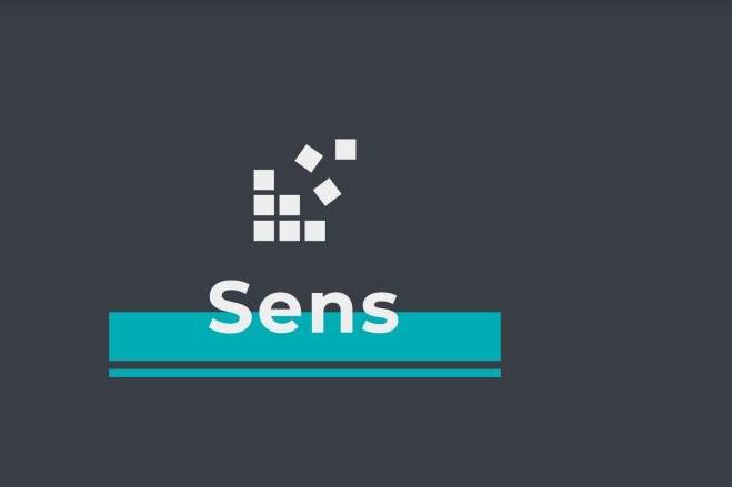 Sens (Contabilizador De Productos)