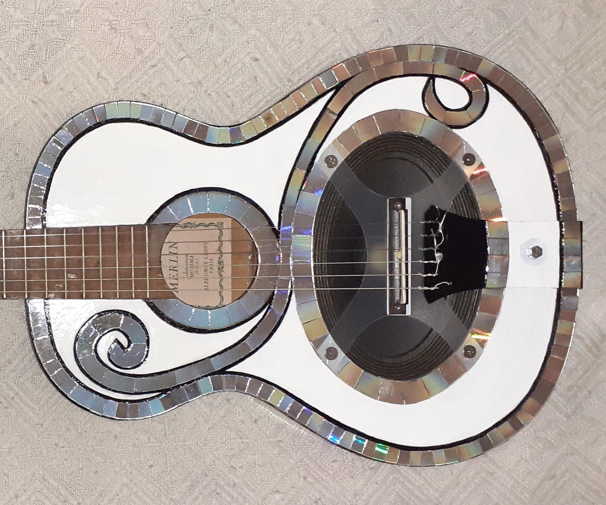 Loudspeaker Resonator Guitar . Model Z8.1