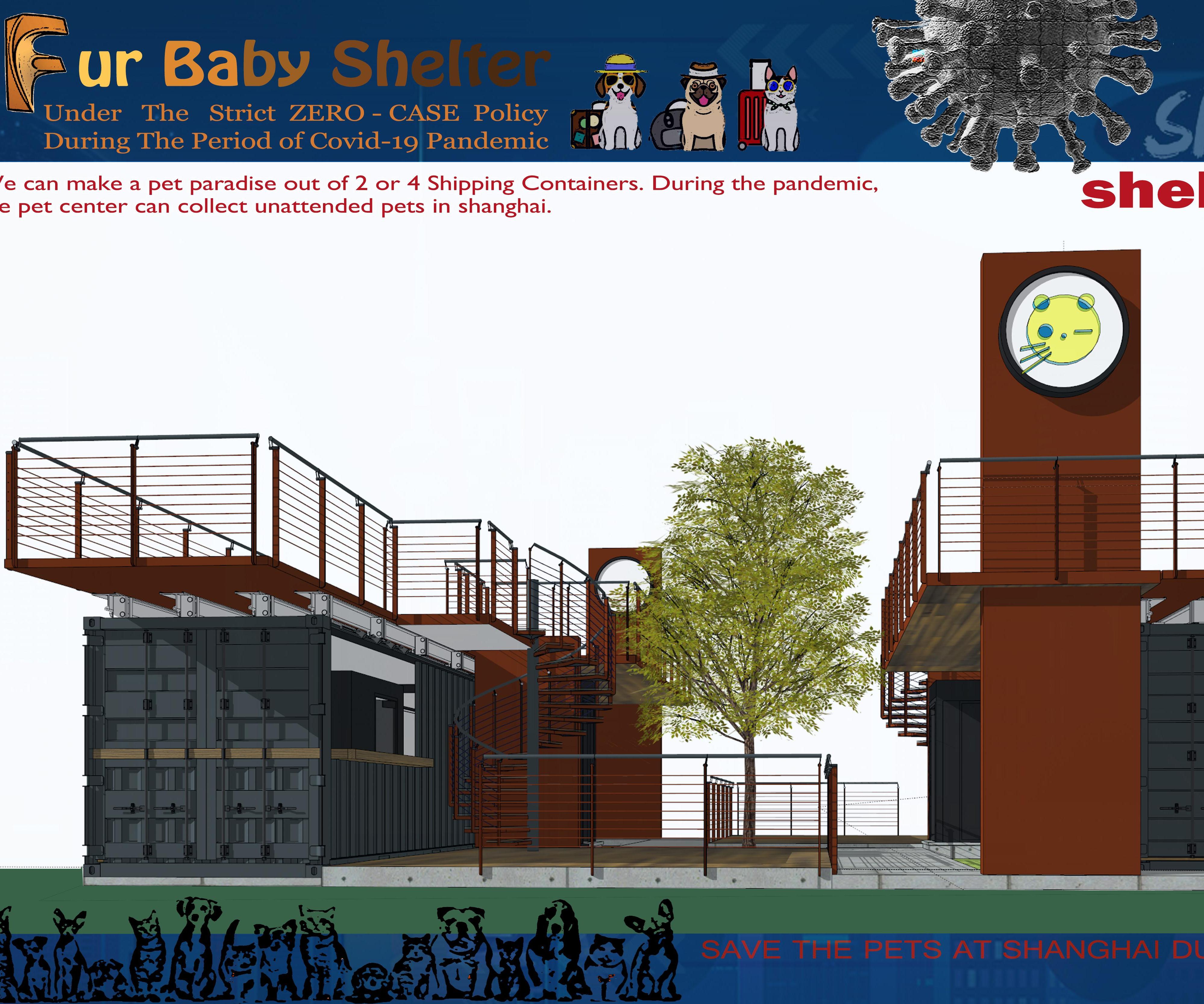 Pet Shelter at Shanghai Under the China's Aggressive 'zero-COVID' Strategy